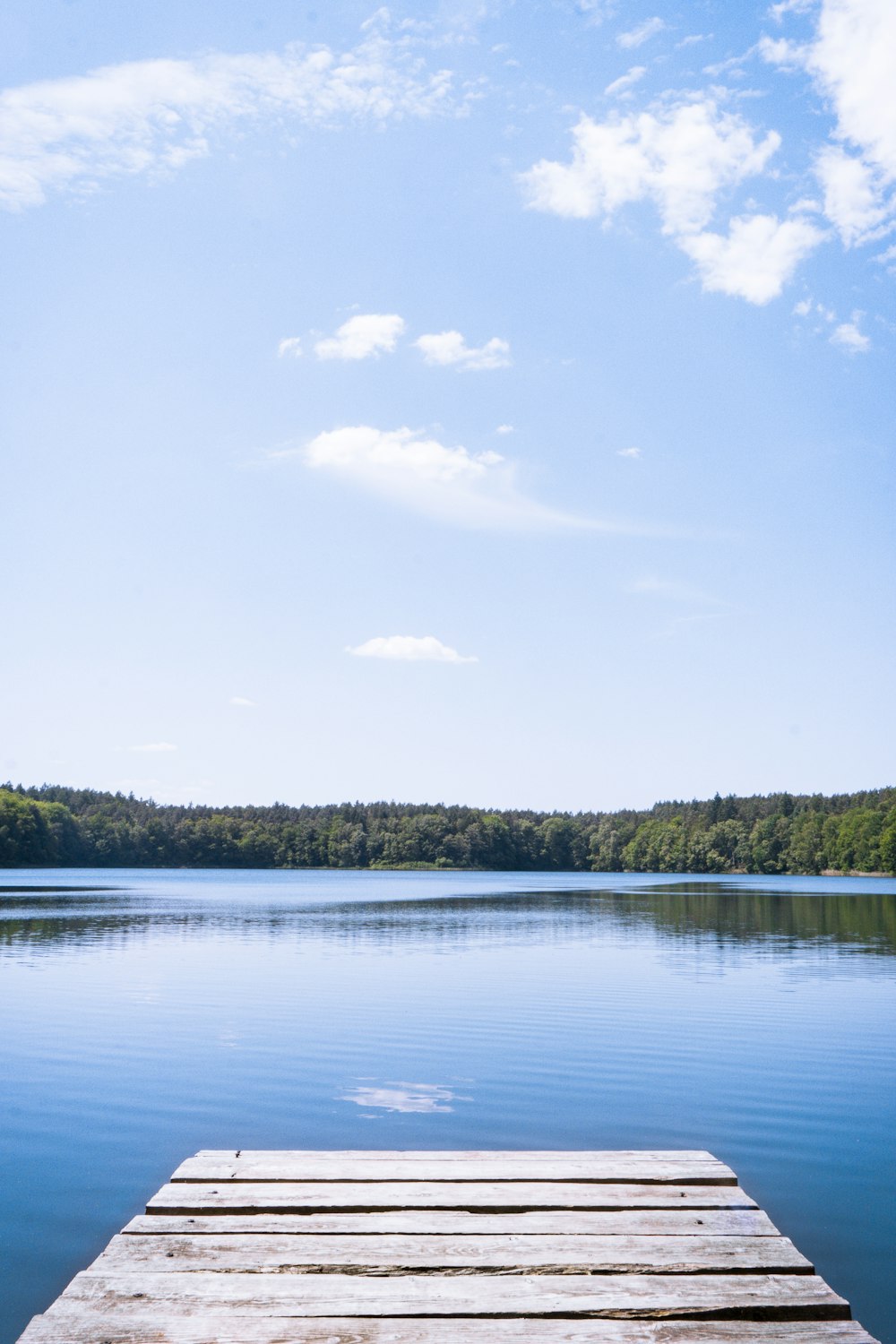 Un muelle de madera sentado en medio de un lago