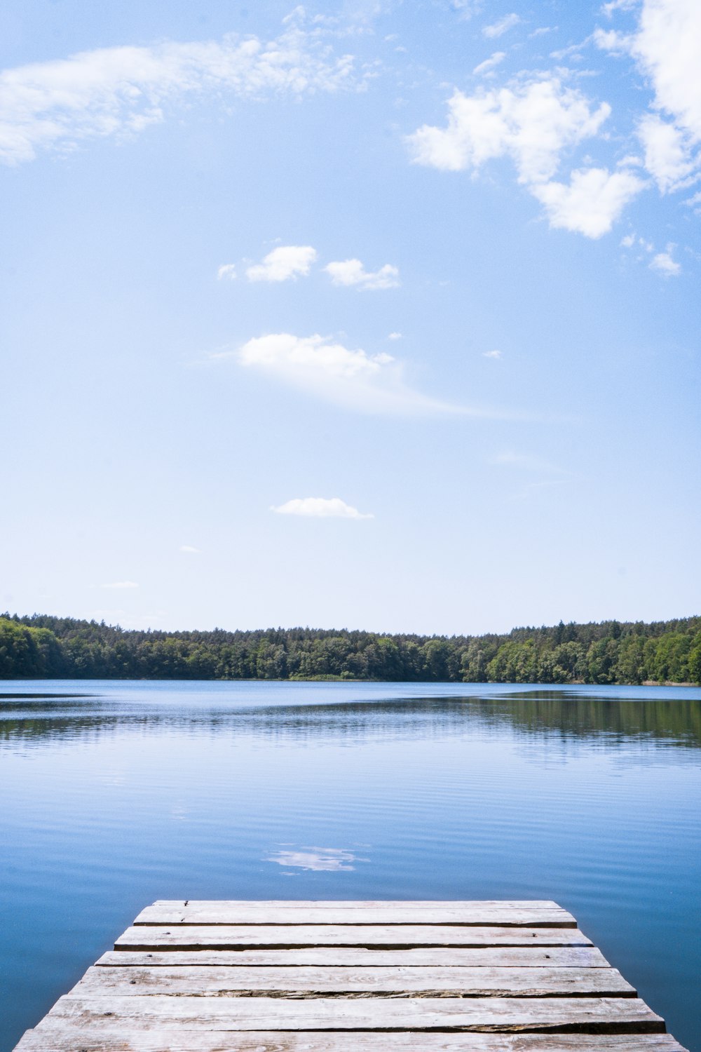 a wooden dock sitting in the middle of a lake