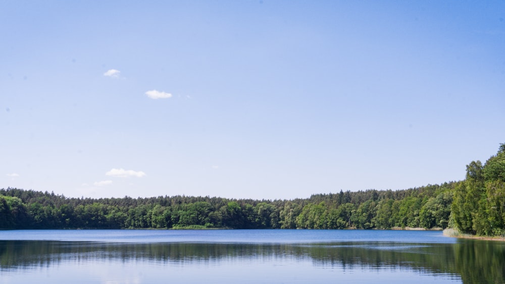 a large body of water surrounded by trees