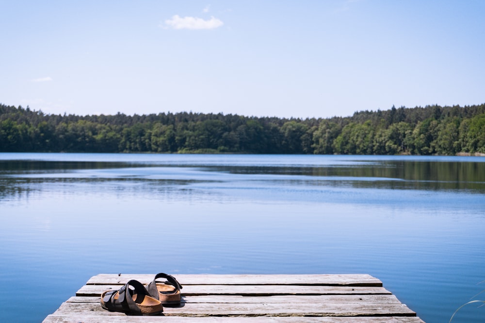 a pair of sandals sitting on top of a wooden dock