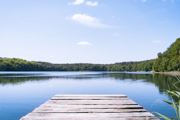 A pristine dock extending into a glassy lake surrounded by lush greenery under soft cream skies.