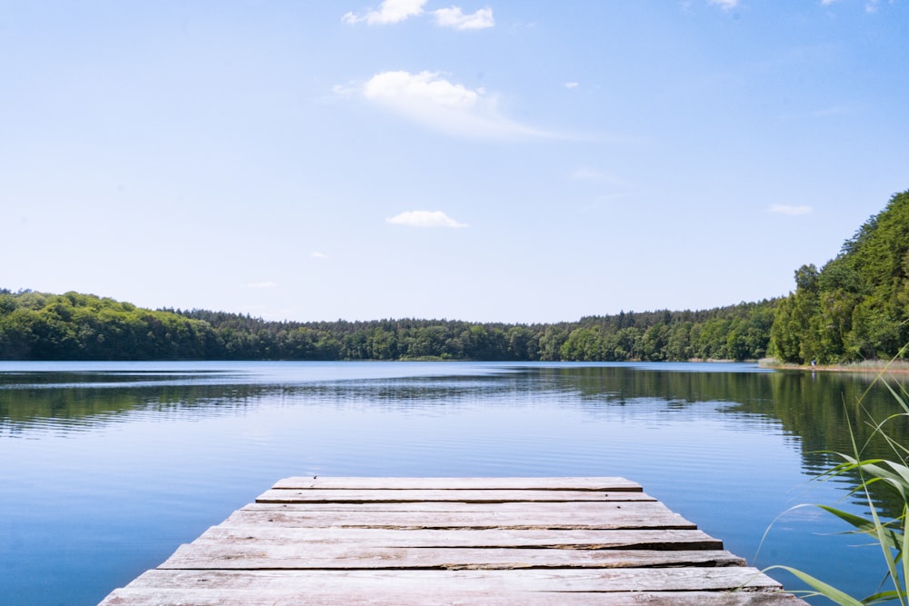 a wooden dock sitting in the middle of a lake