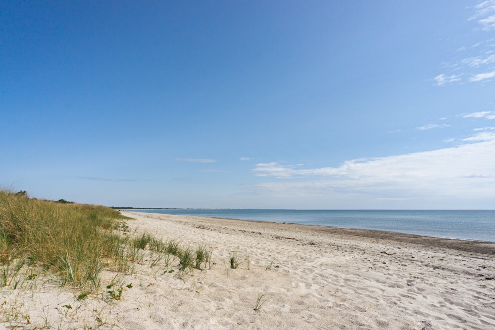 uma praia de areia ao lado do oceano sob um céu azul