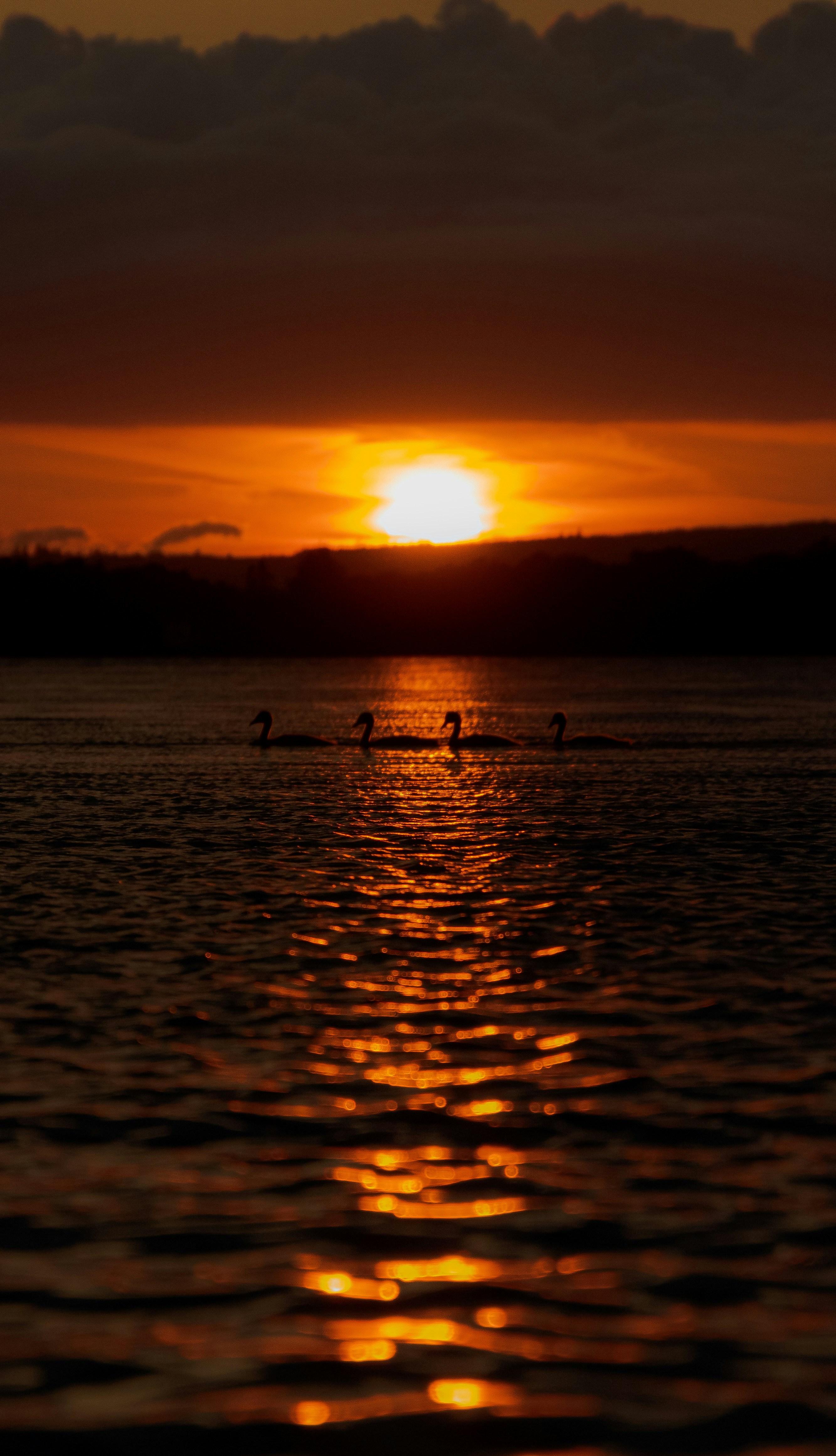 Photo by starkie_pics