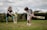 A boy and a girl are playing cricket on a grassy field. The boy is batting, wearing a grey t-shirt and white shorts, and is holding a cricket bat. The girl, dressed in a black t-shirt and blue leggings, is fielding near the stumps. There are wildflowers and a hedge in the background, with a house visible in the distance.
