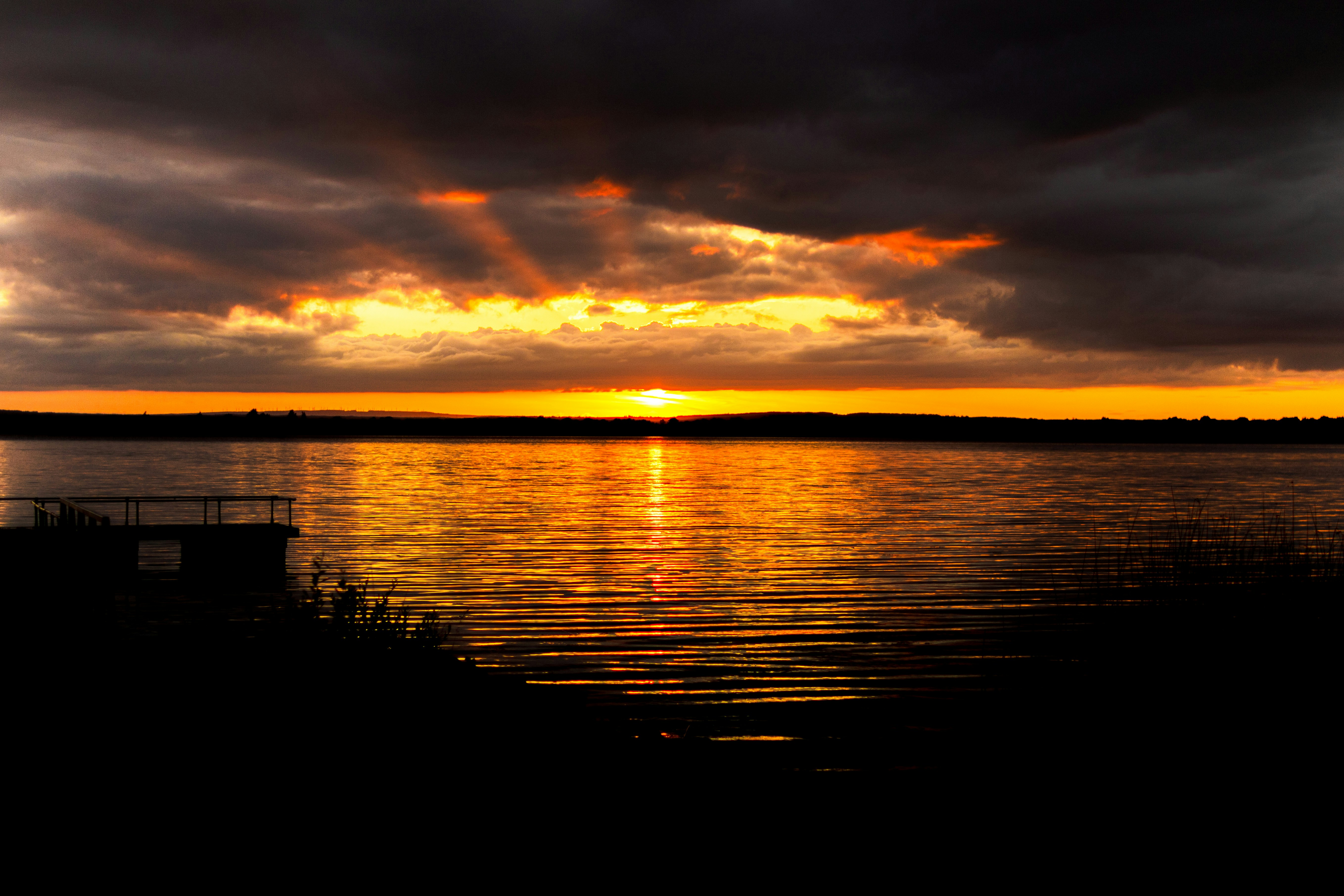 Photo by starkie_pics