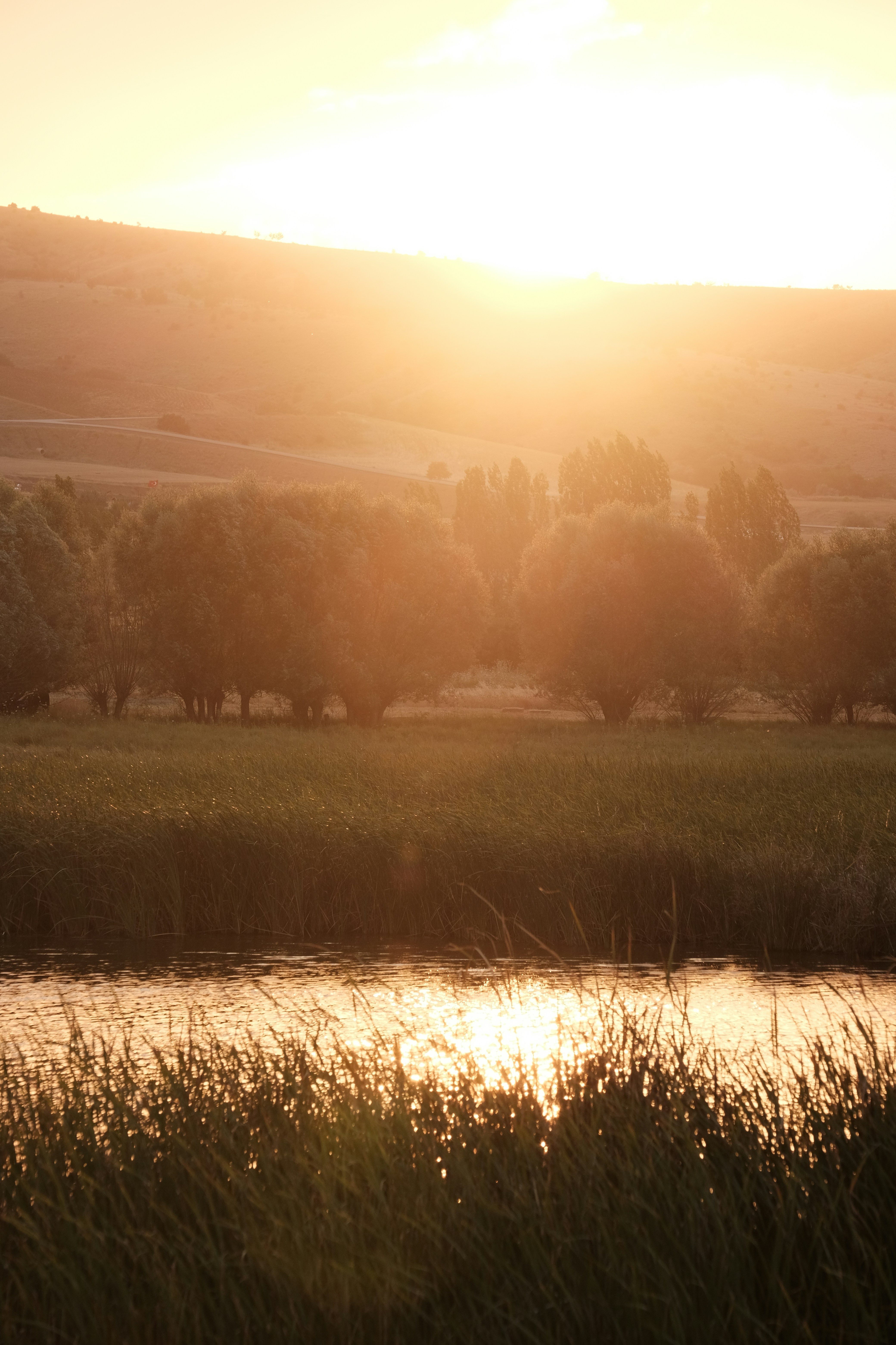 Photo by beyzaayurtkuran