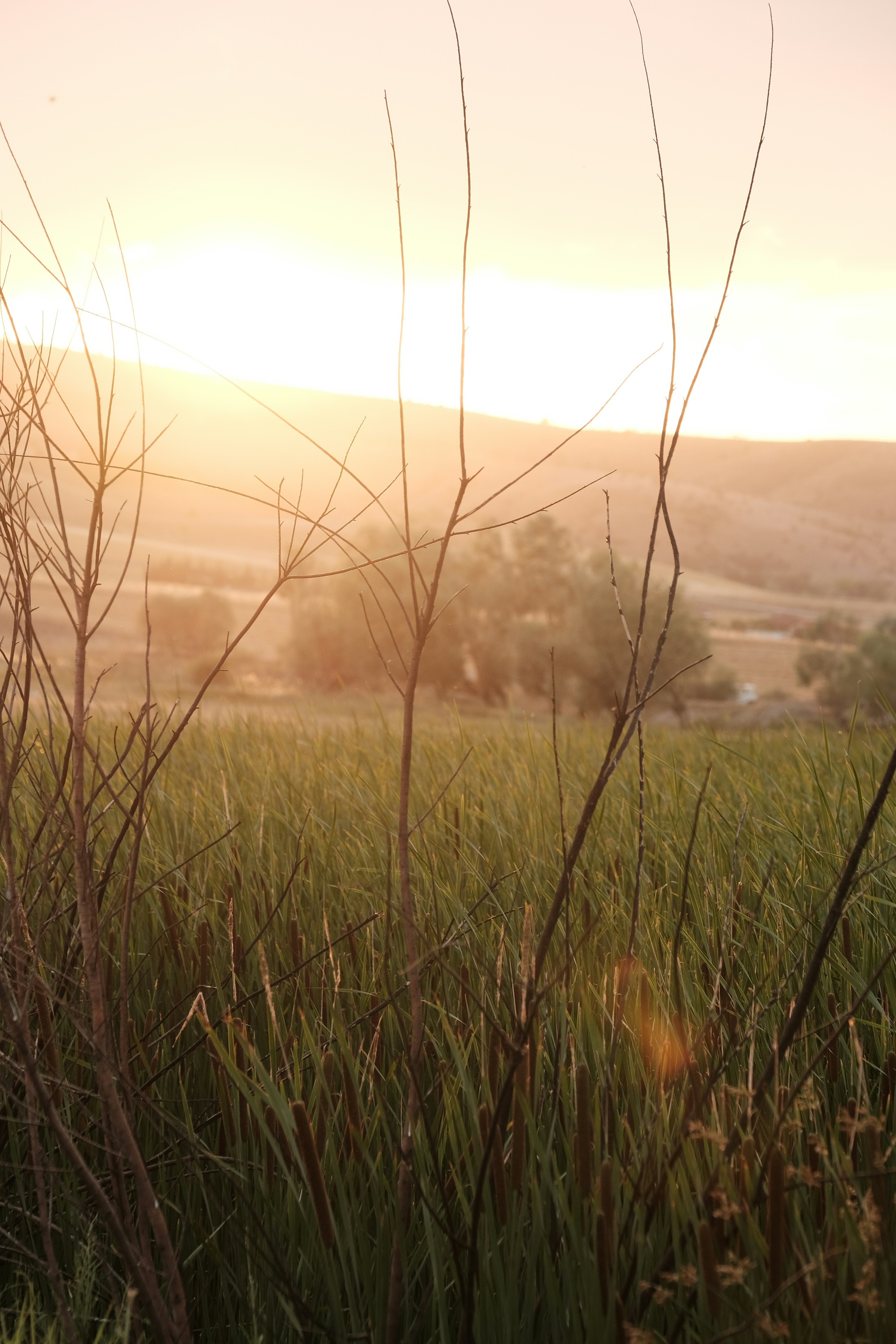 Photo by beyzaayurtkuran