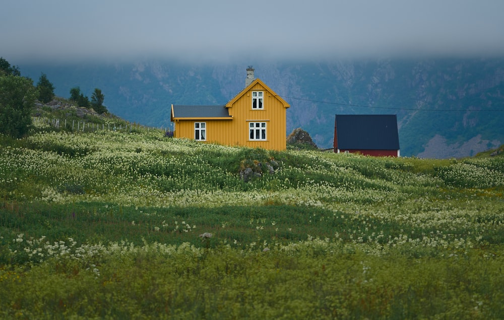 a yellow house sitting on top of a lush green hillside