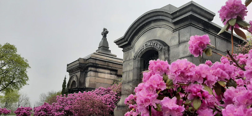 Our team gently placing flowers on a well-maintained sepulture under soft natural light.