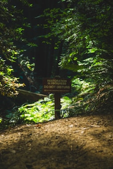 A wooden sign stands in a lush forest surrounded by vibrant green foliage and dappled sunlight. The sign reads 'Restoration in Progress, Do Not Disturb,' indicating an area undergoing ecological recovery within a natural setting.