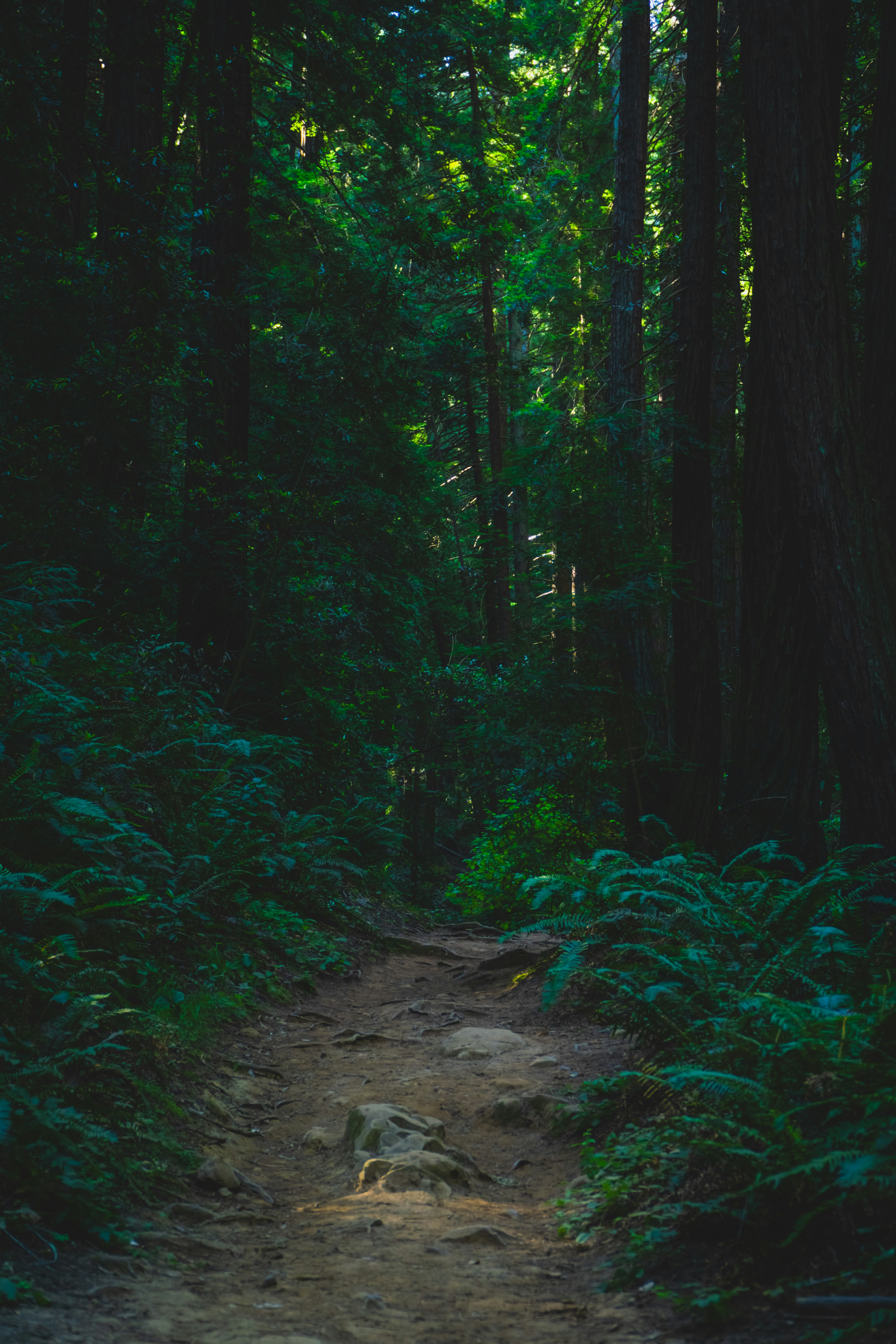 Photo by spencer_demera