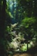 Sunlight filters through a dense canopy of tall trees in a lush, green forest. A sign in the foreground reads 'Restoration in Progress, Do Not Disturb,' warning visitors to maintain the natural setting. The ground is covered in various ferns and underbrush, adding to the verdant atmosphere.