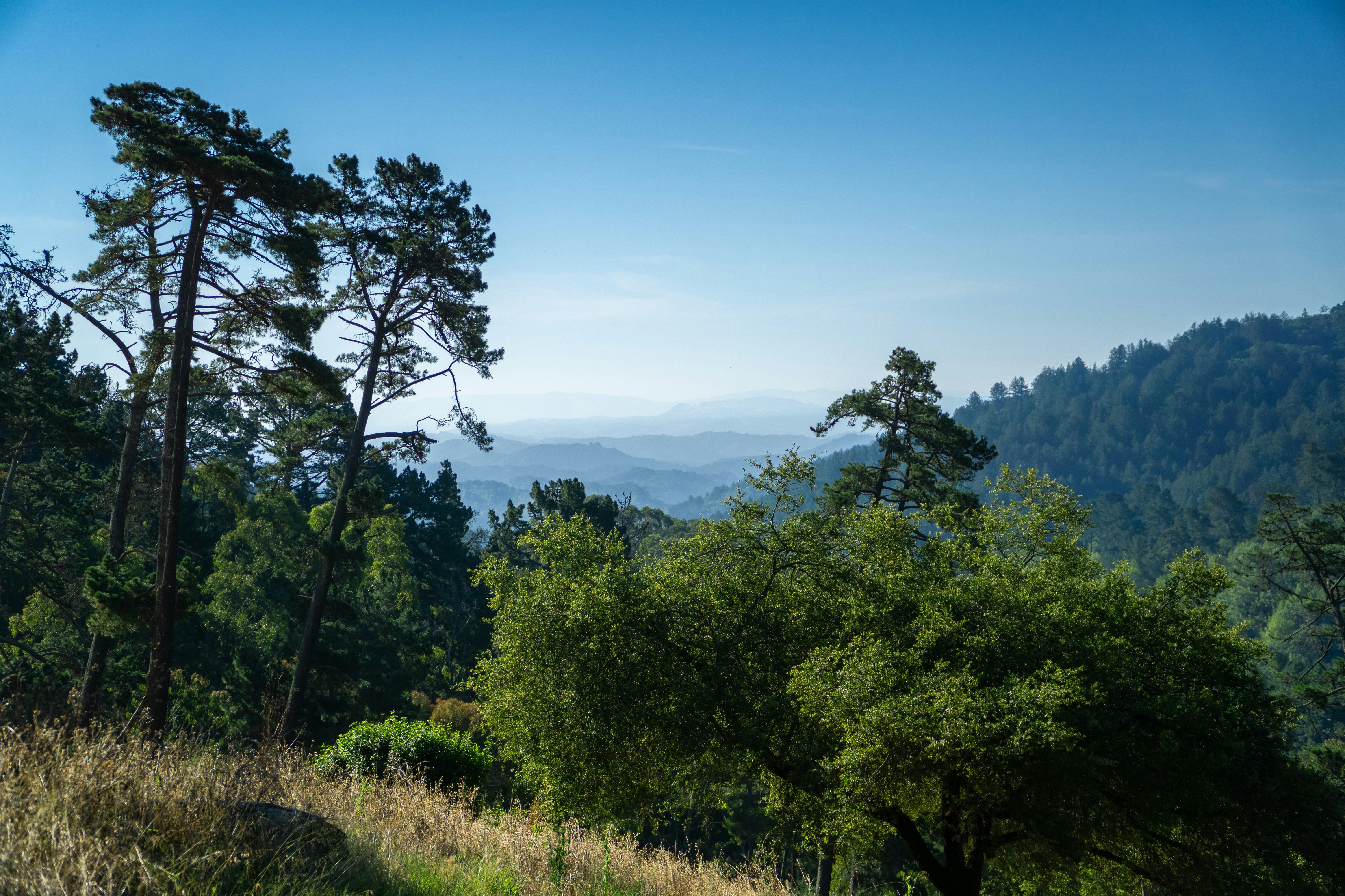 Photo by spencer_demera