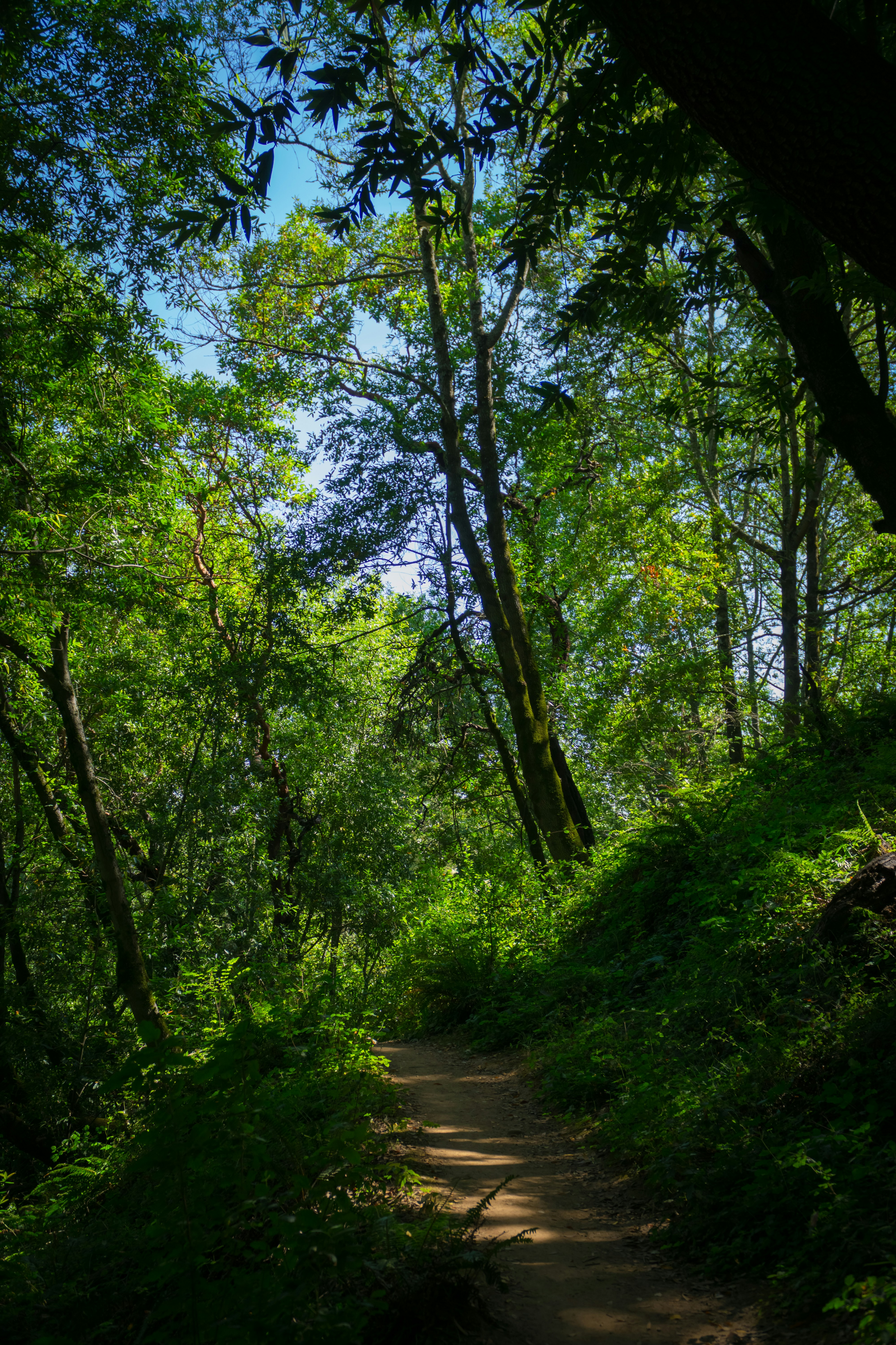 Photo by spencer_demera