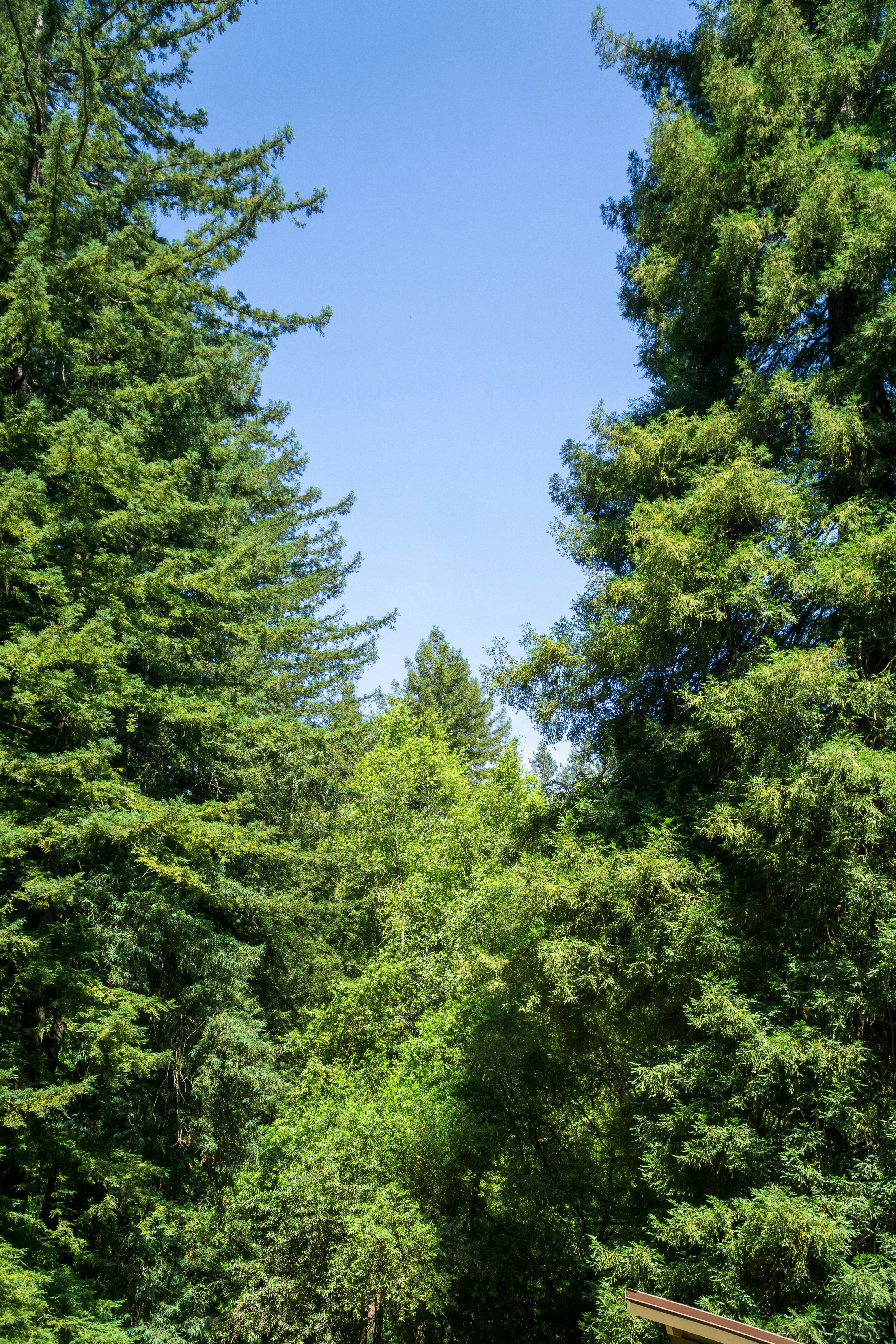 Photo by spencer_demera