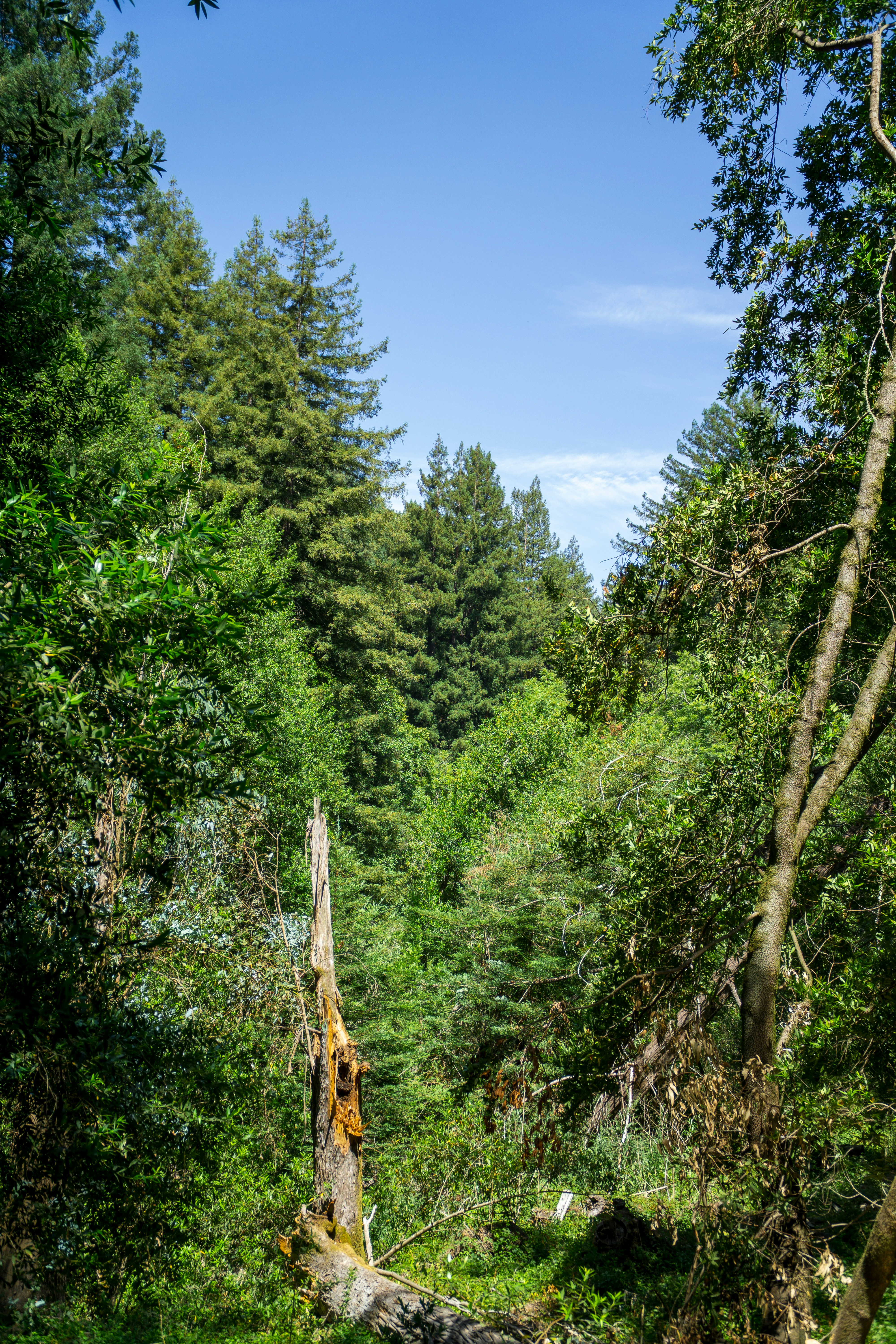 Photo by spencer_demera