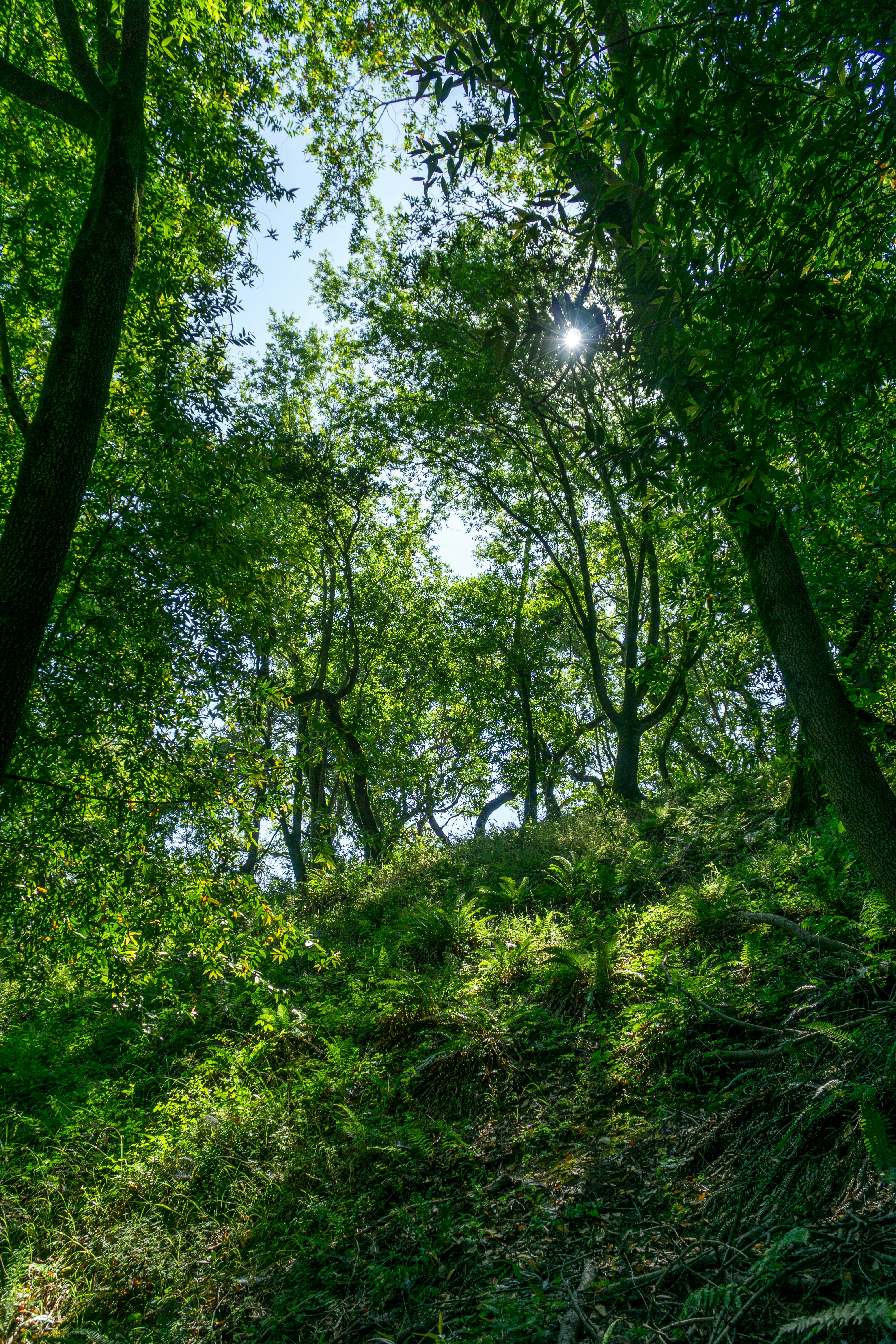 Photo by spencer_demera