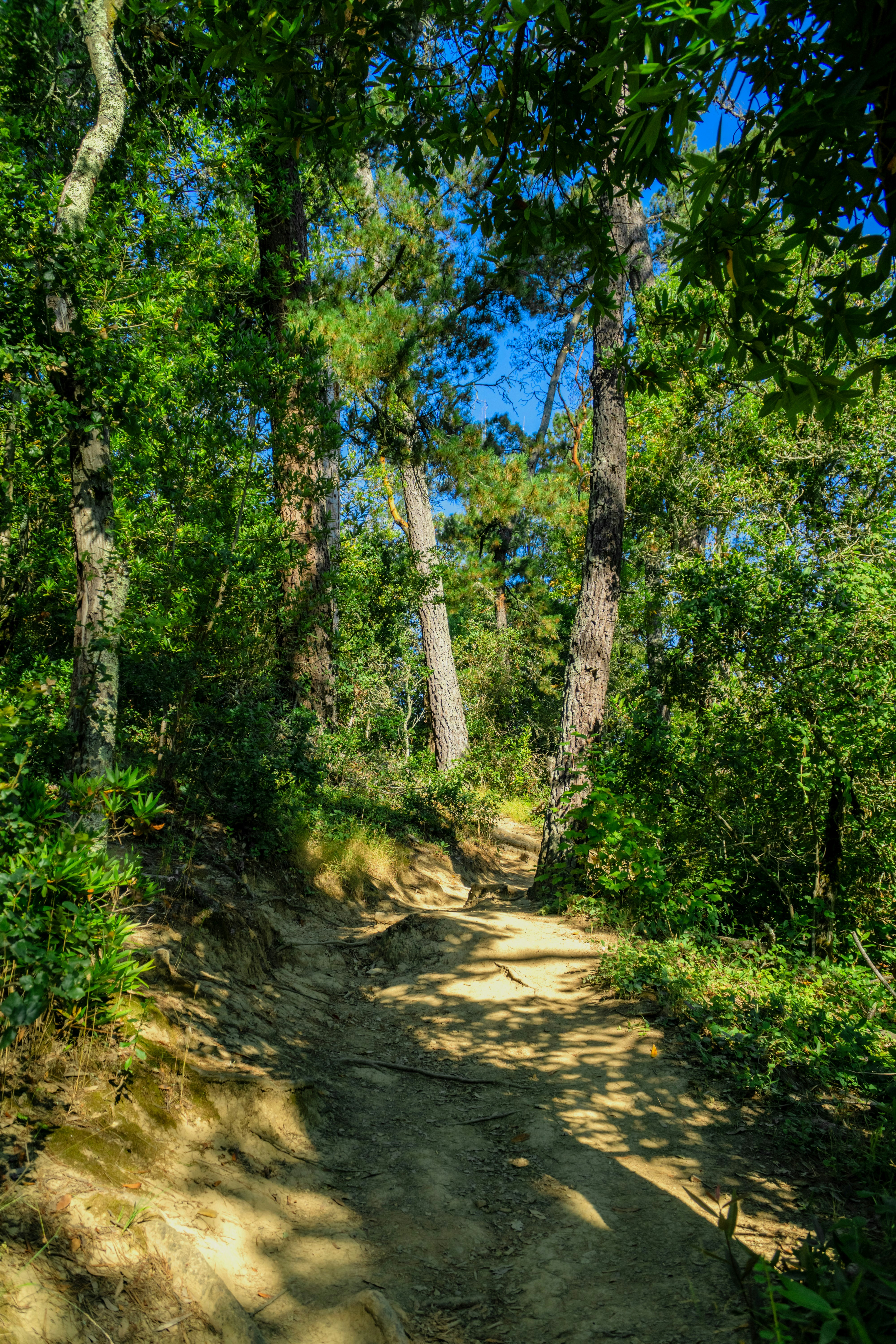 Photo by spencer_demera