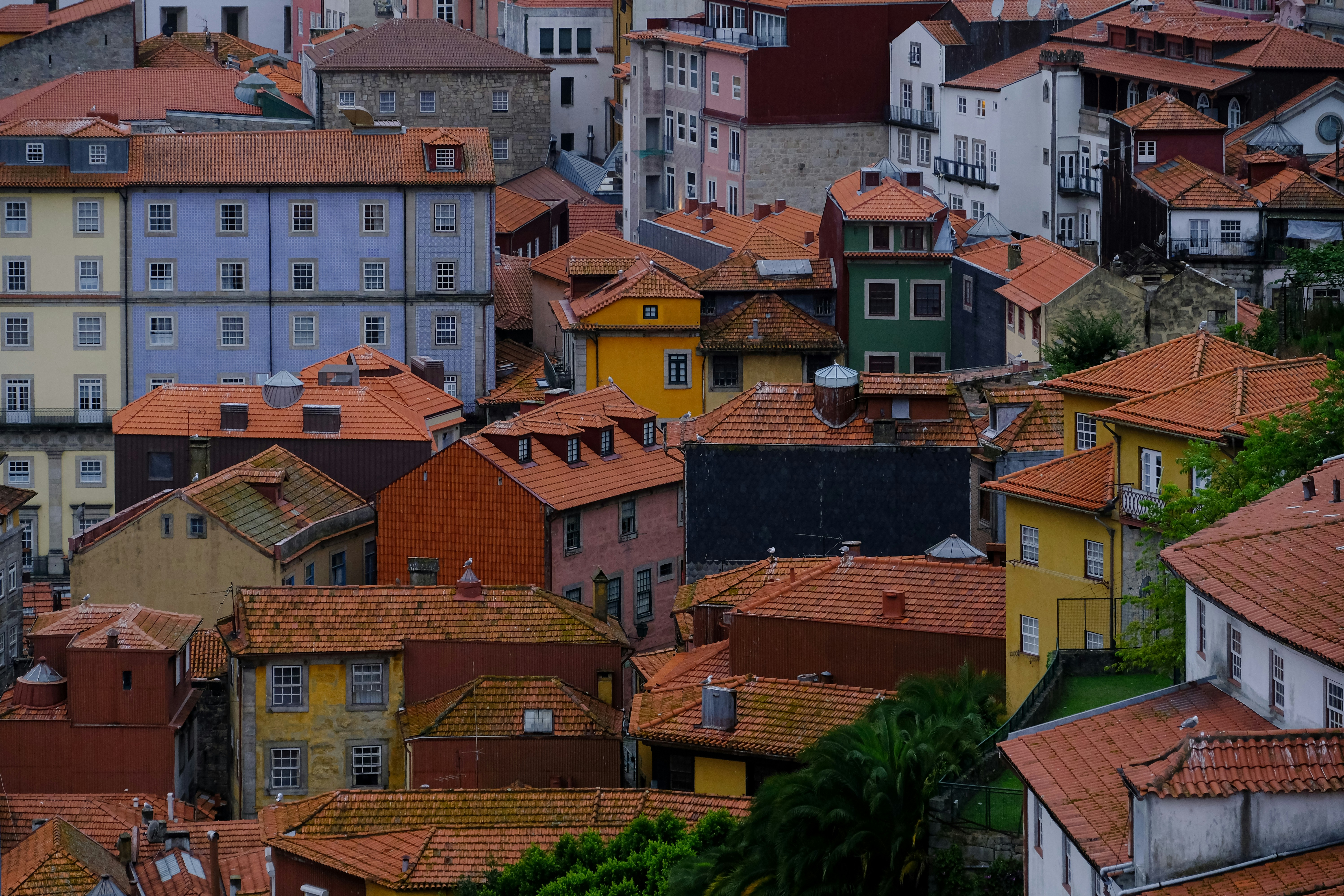 Photo by hrantkhachatryan