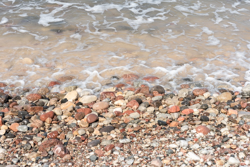 a sandy beach covered in lots of rocks