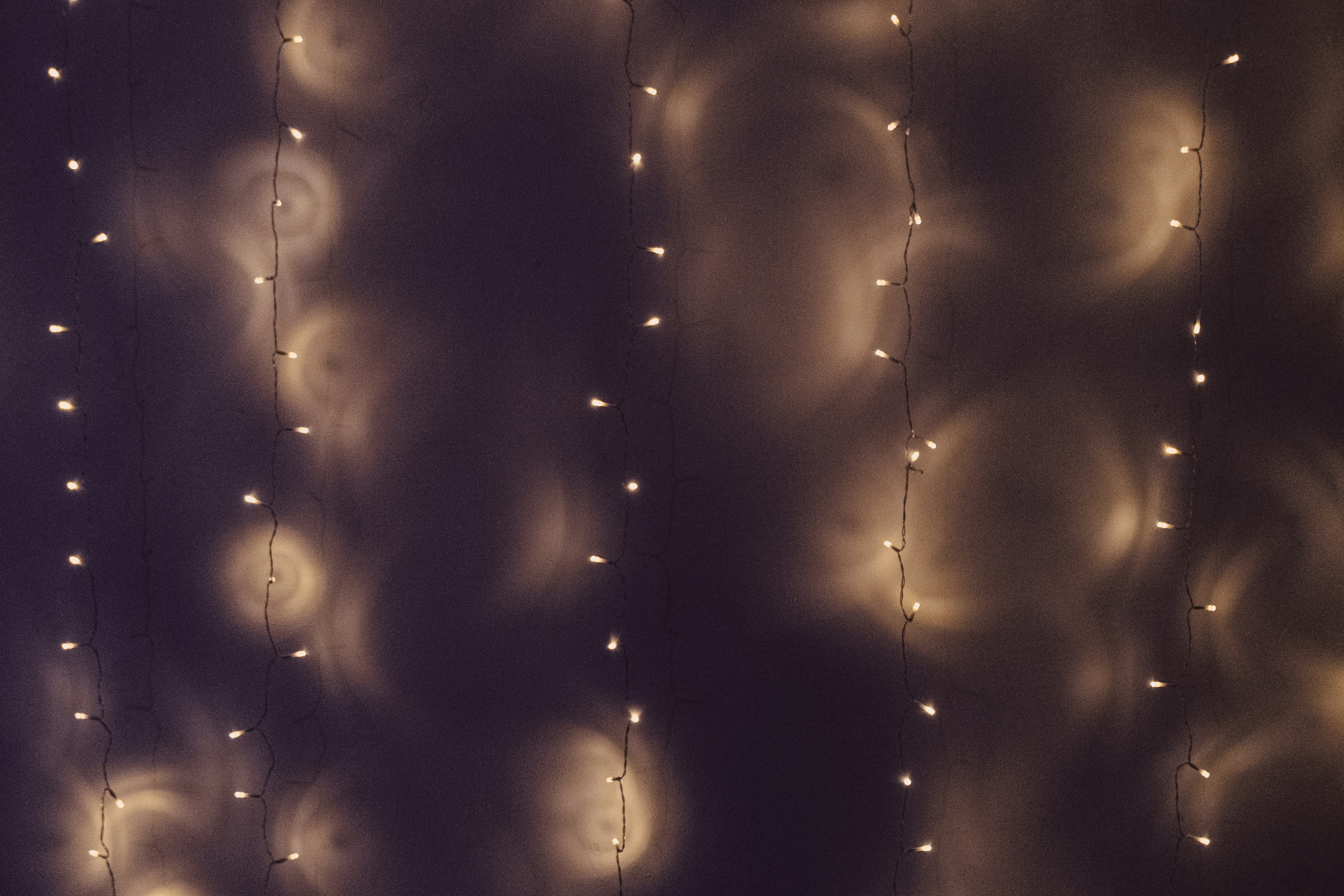 Photo by reganography