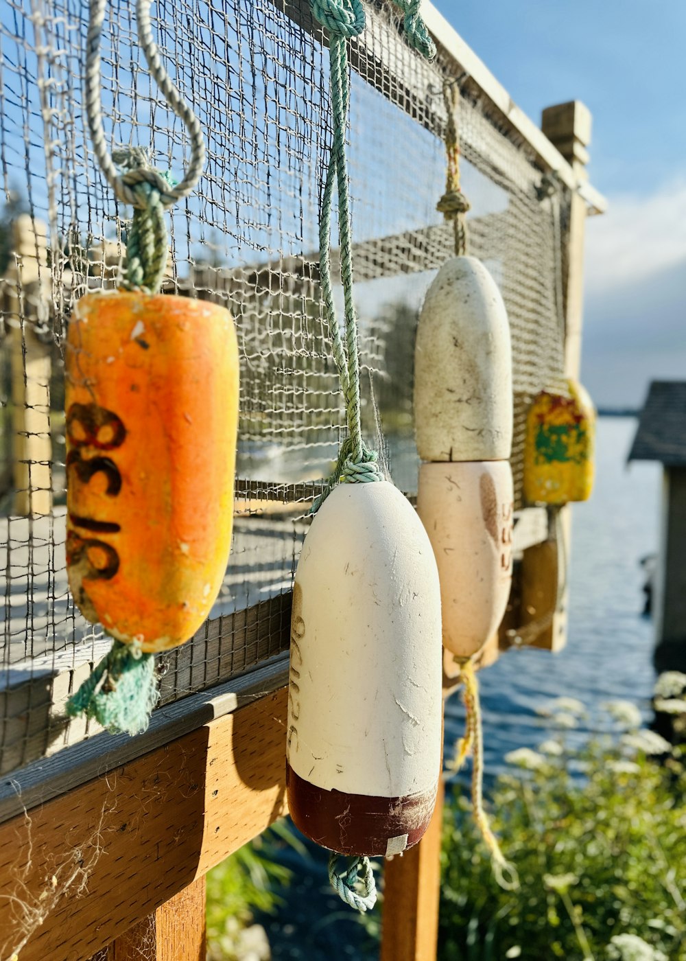 a row of buoys hanging from the side of a boat