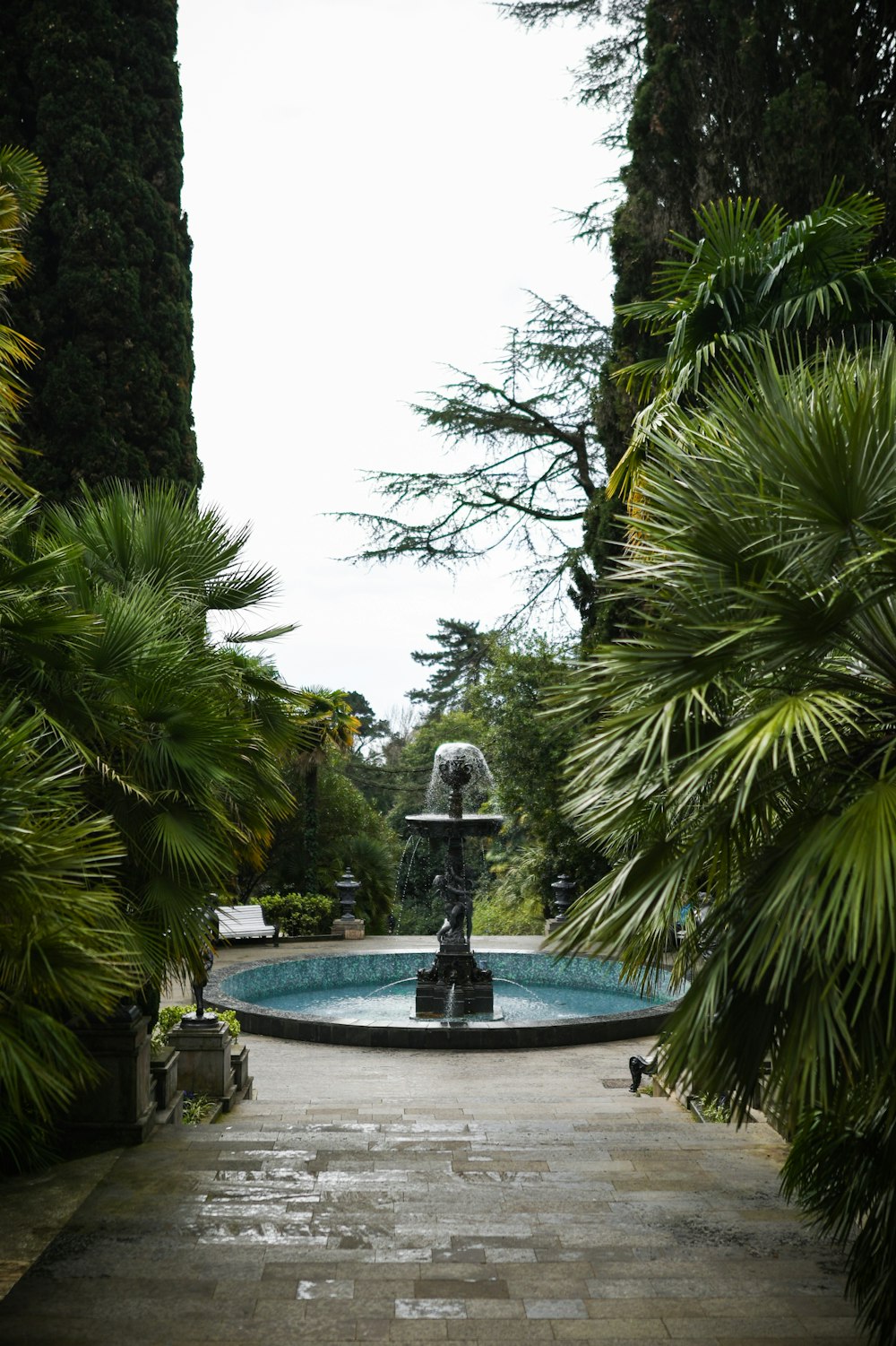 a fountain surrounded by palm trees in a garden