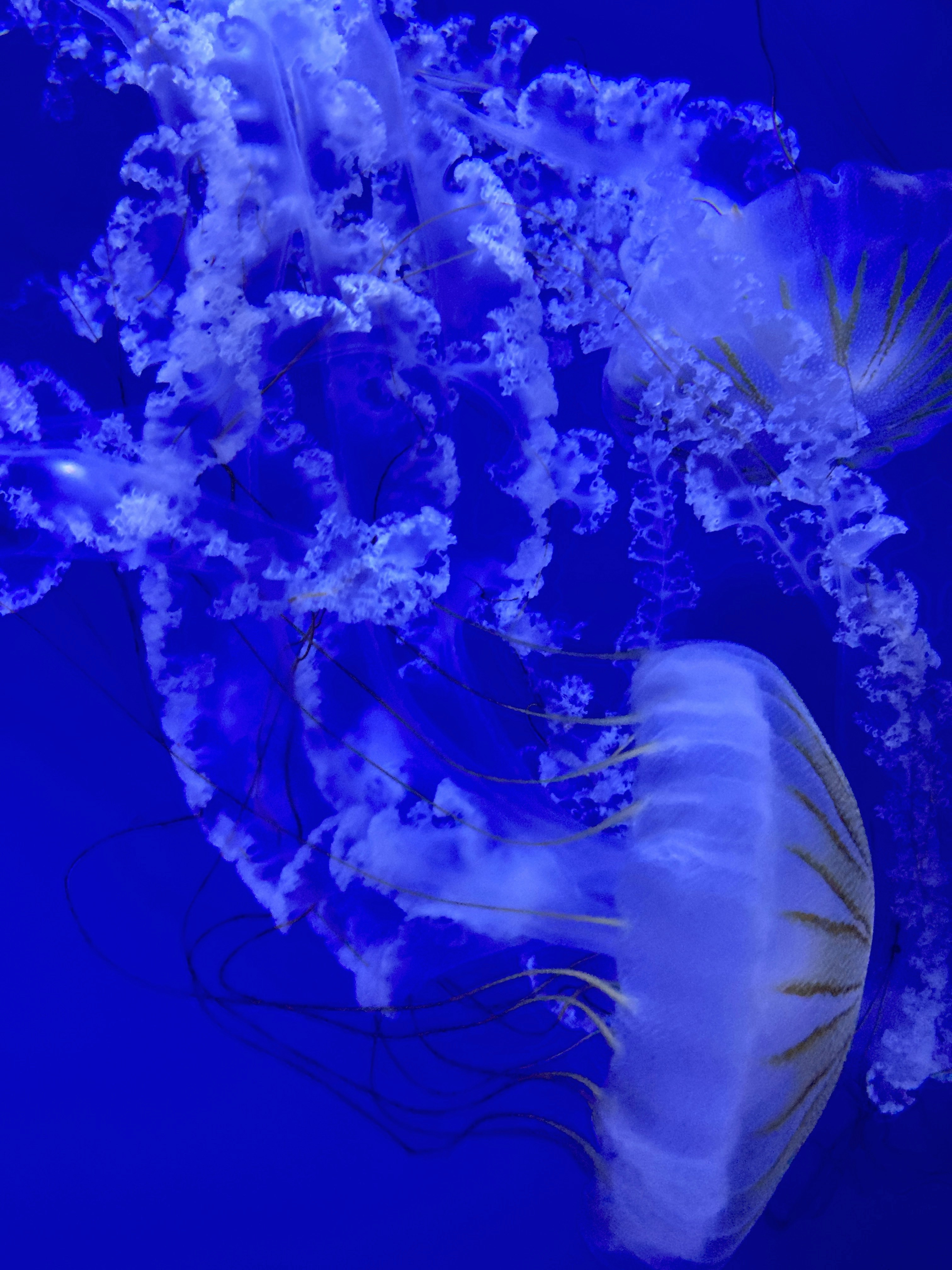 Photo by thomaskinto