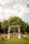 A lush green outdoor setting with a decorative wedding arch adorned with leaves and pampas grass. The arch is draped with white fabric, positioned in front of rows of wooden benches. The setting is surrounded by trees, under a partly cloudy sky, creating a serene and natural atmosphere.