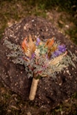 A vibrant bouquet featuring a mix of dried flowers and grasses placed on a textured rock surface. The bouquet includes hues of green, purple, orange, and red, wrapped with twine at the base. The backdrop is a natural setting with grass peeking through.