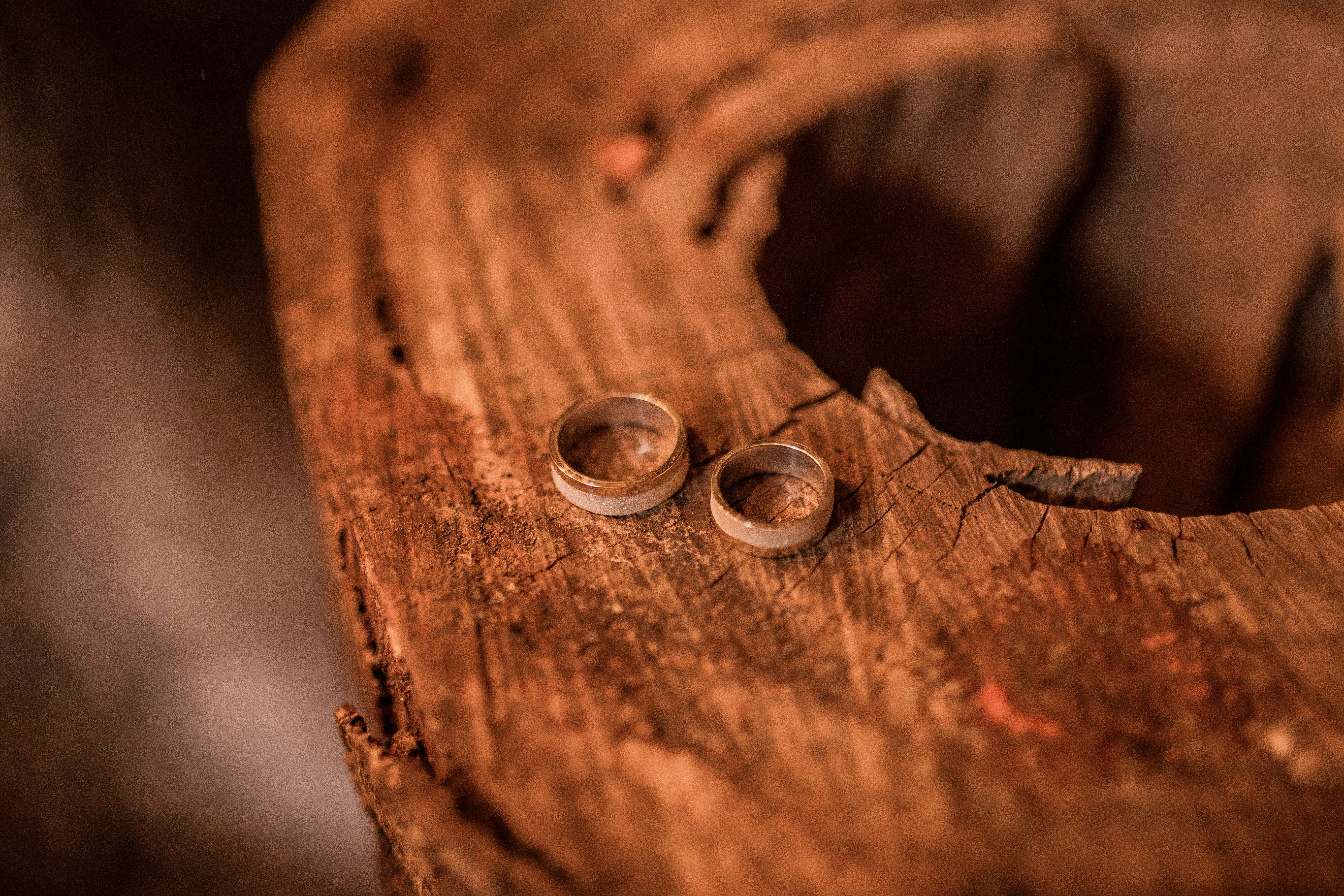 Photo by juniorreisfoto