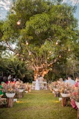 A couple stands at the altar under a large tree adorned with string lights, creating an intimate outdoor wedding atmosphere. The surrounding area is decorated with colorful floral arrangements and guests are seated along the aisle.