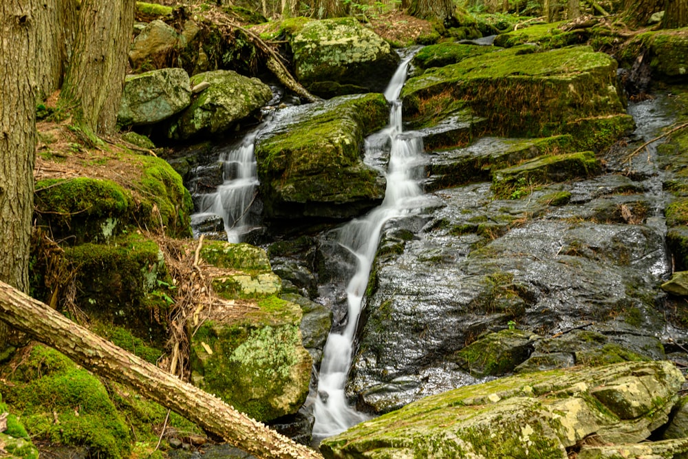 a small waterfall in the middle of a forest