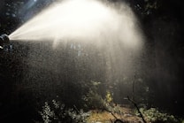 A spray of water is being released from a hose nozzle, creating a fine mist in the air. The background shows a dense forest area with greenery and some sunlight filtering through the trees.