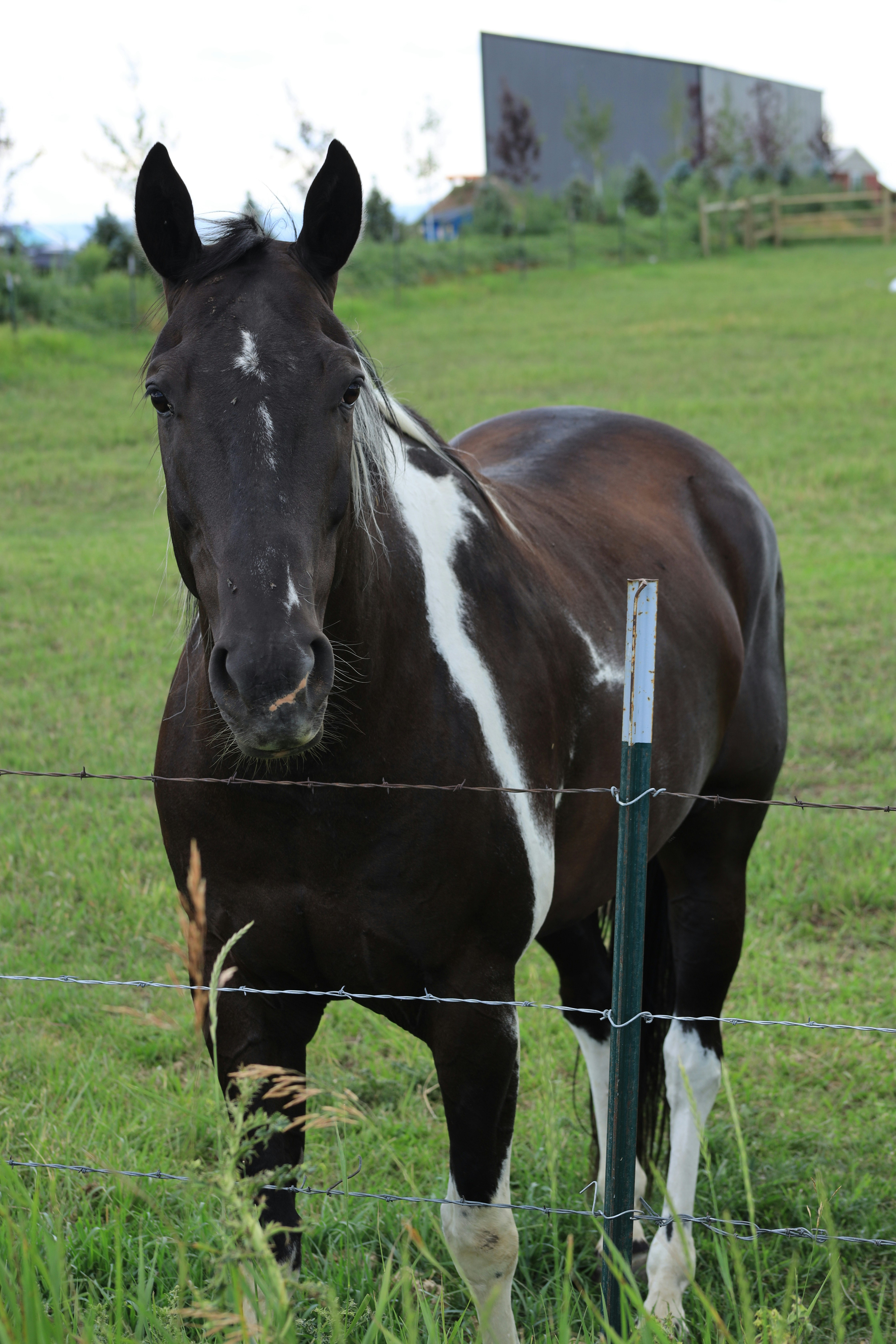 Photo by djburkephotography