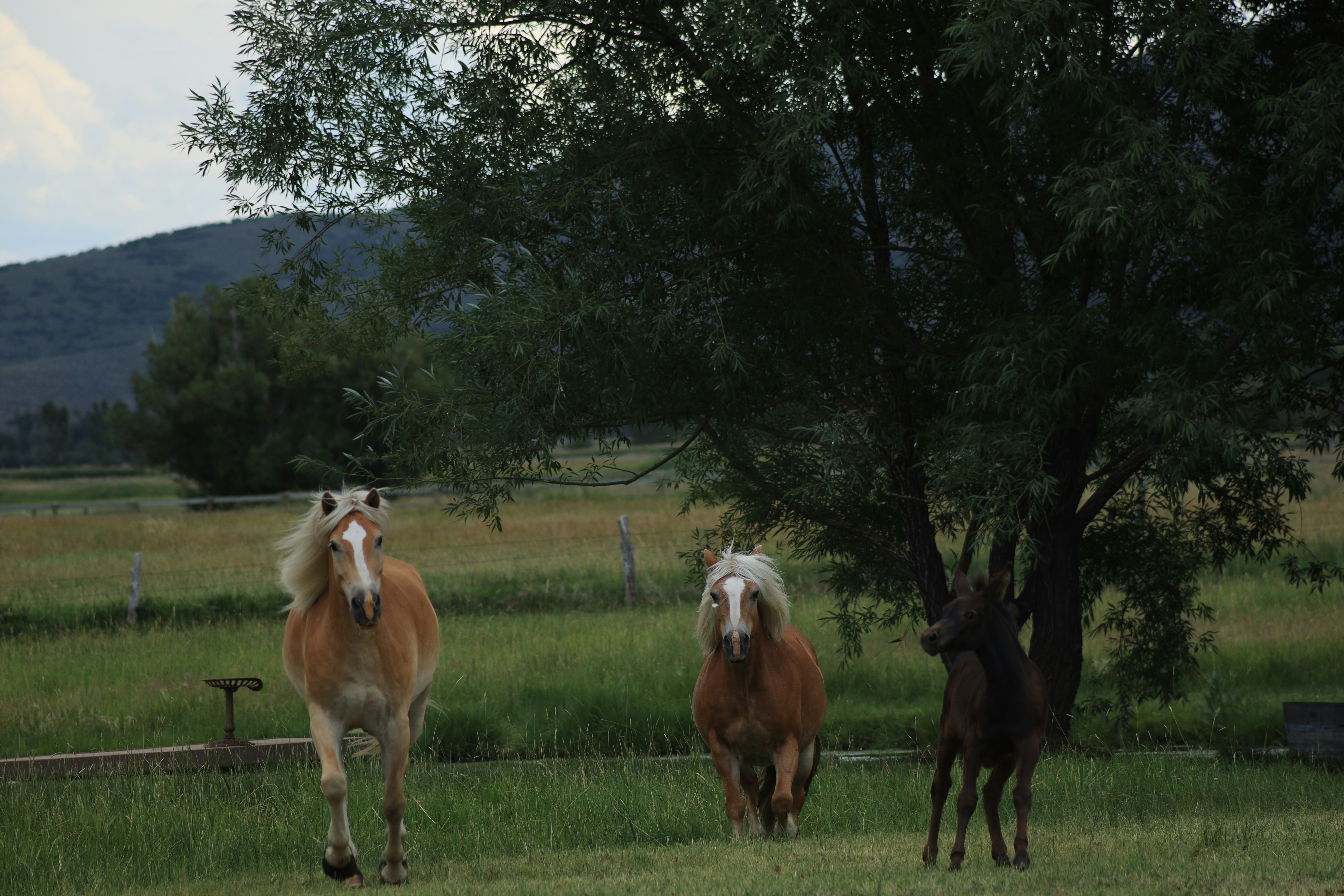 Photo by djburkephotography