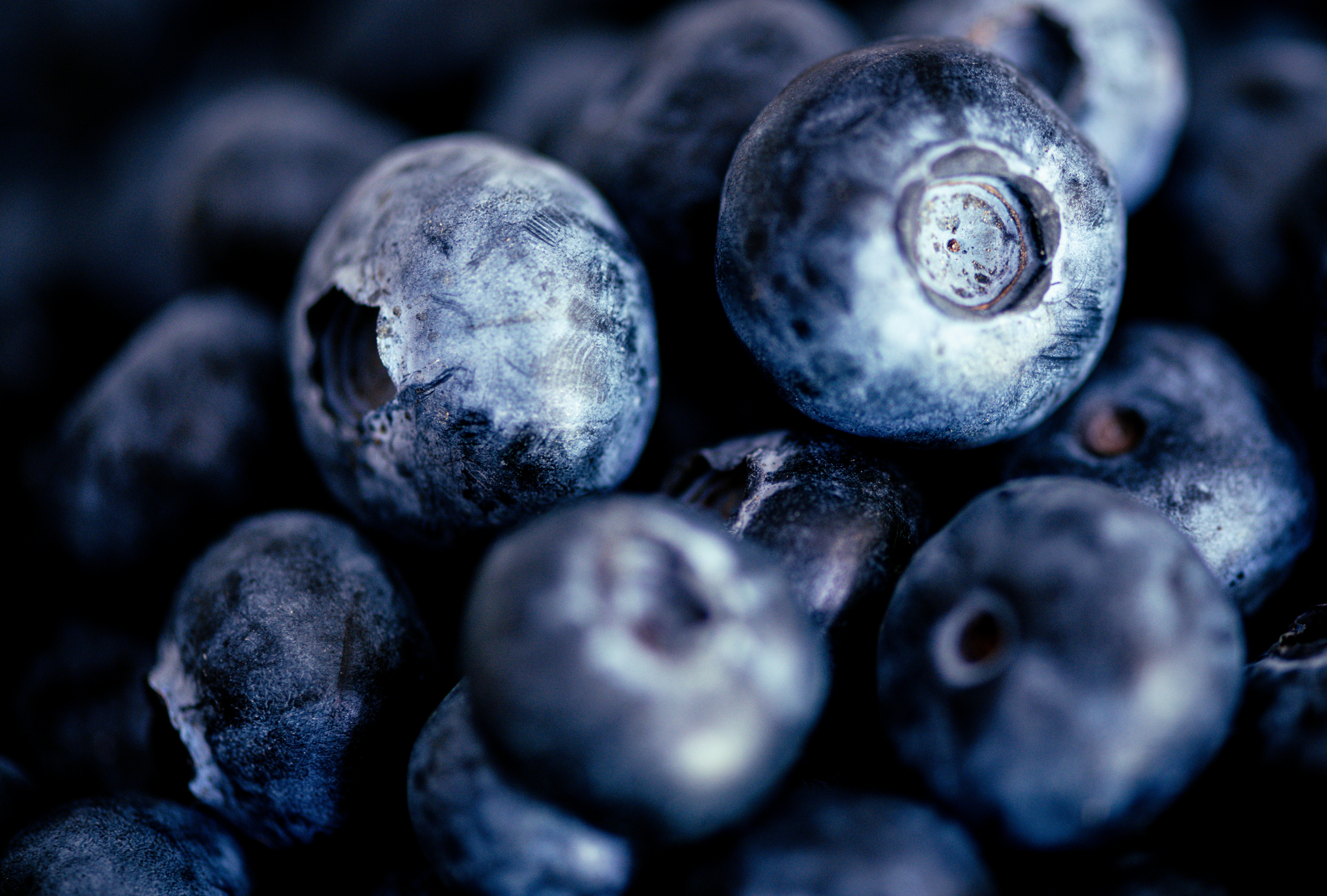 Photo by sriniunsplash