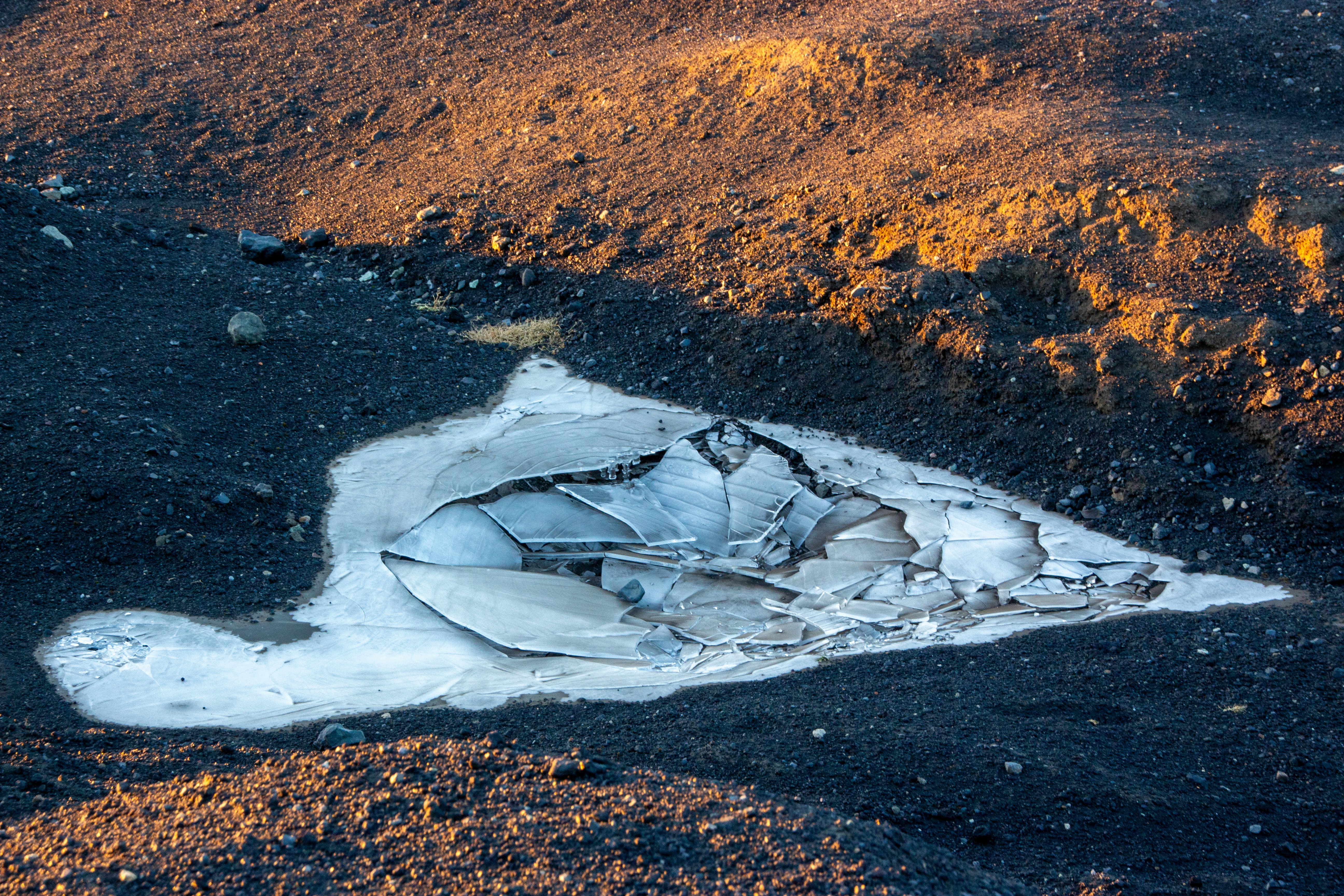 ein Fleck Erde mit einem Fleck Schmutz in der Mitte