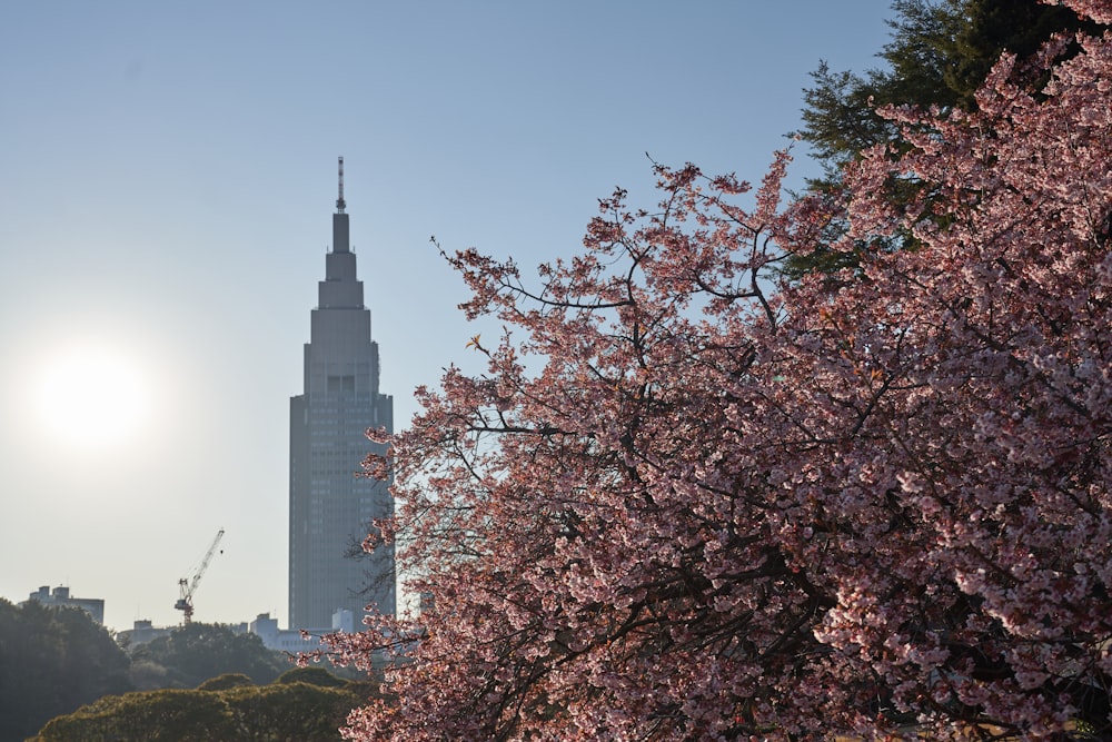 a tall building with a spire in the background