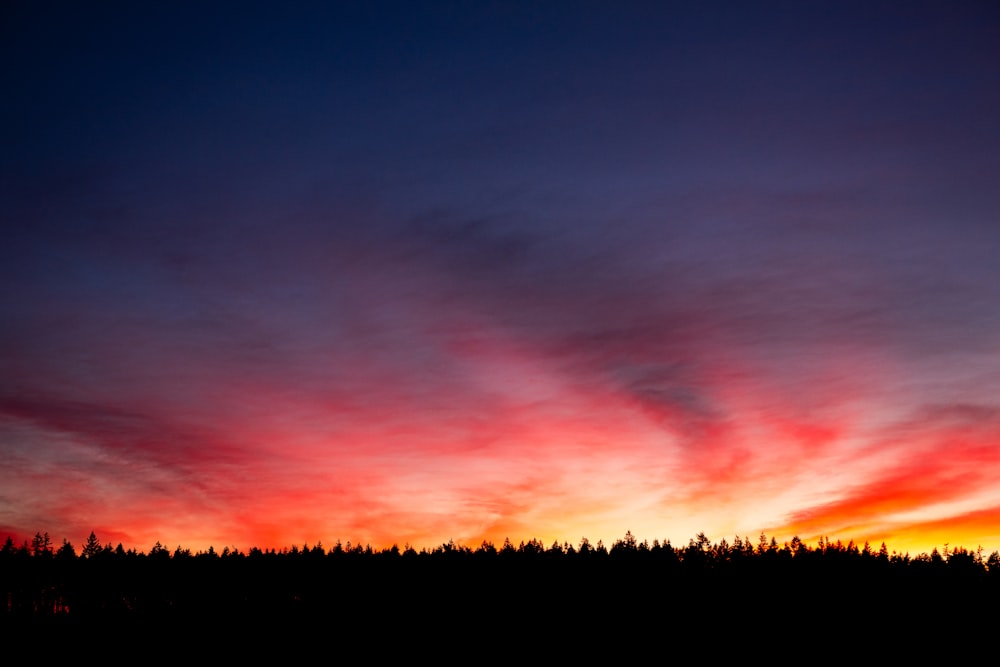 um céu vermelho e azul com árvores no fundo