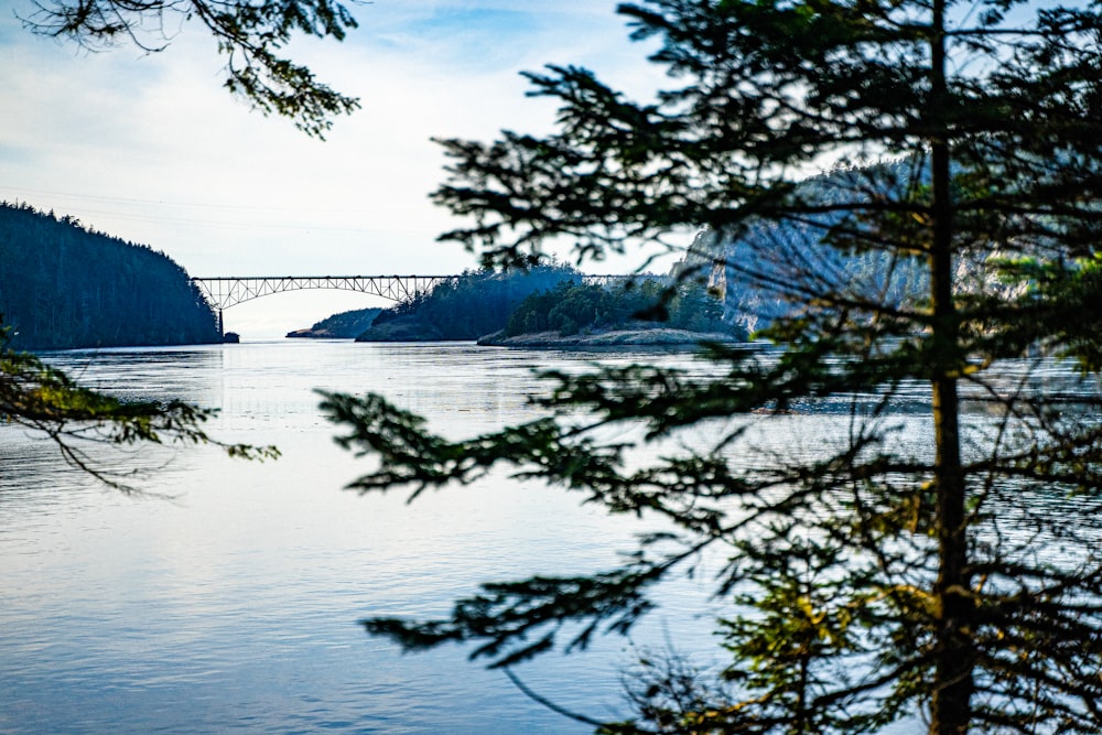 a bridge over a large body of water