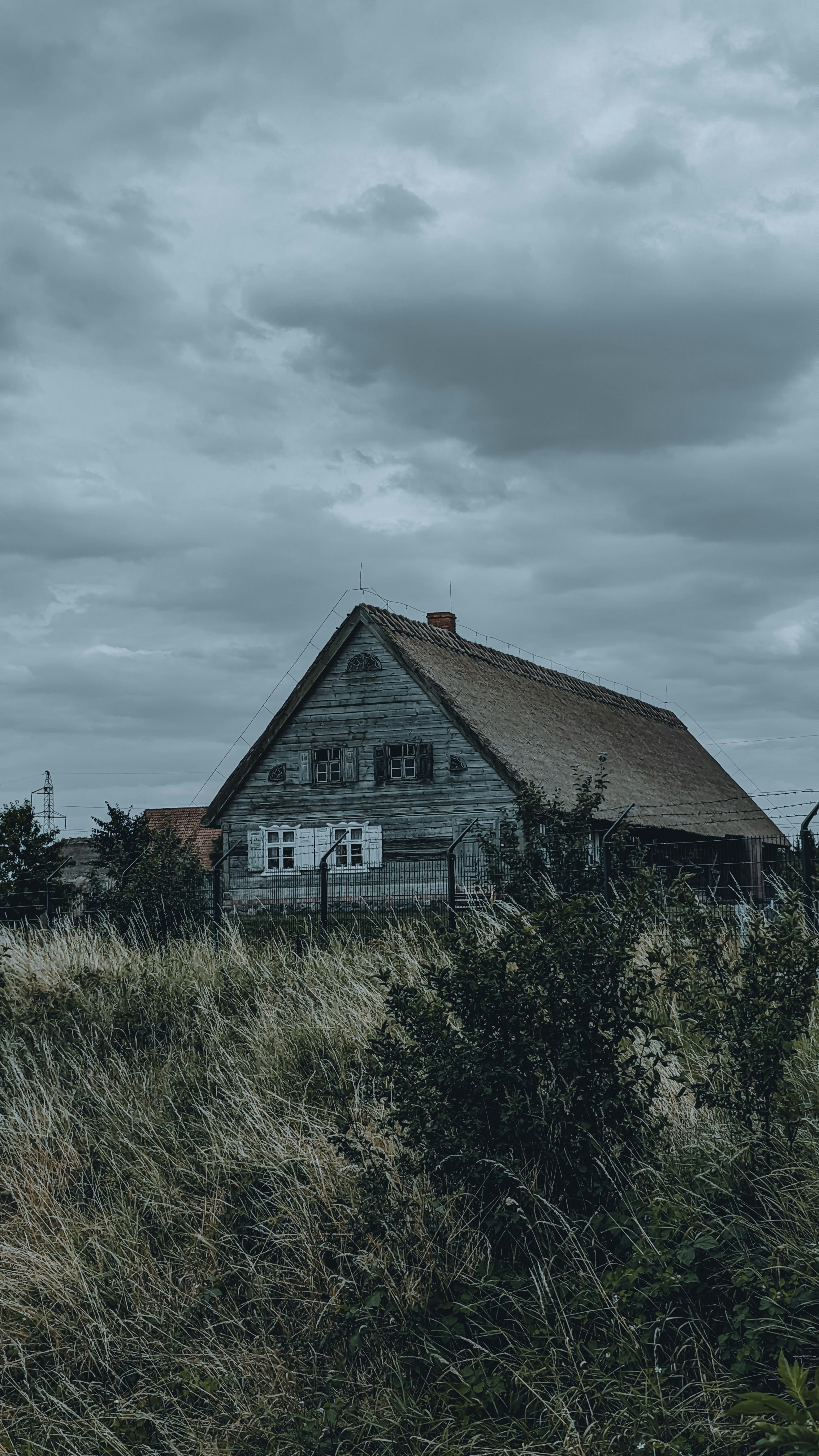 Photo by nimble_essence