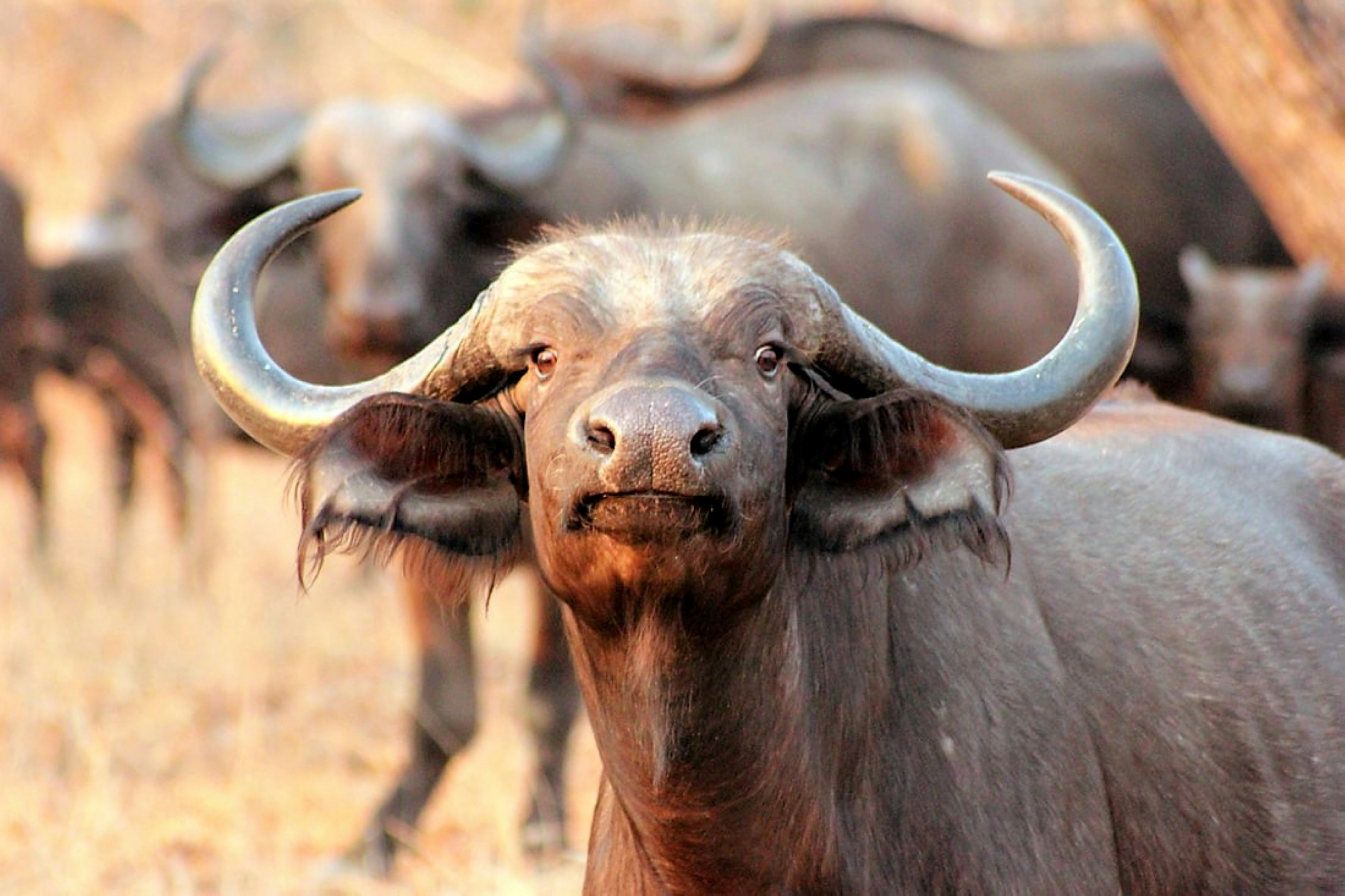 Photo by craigmanners_com