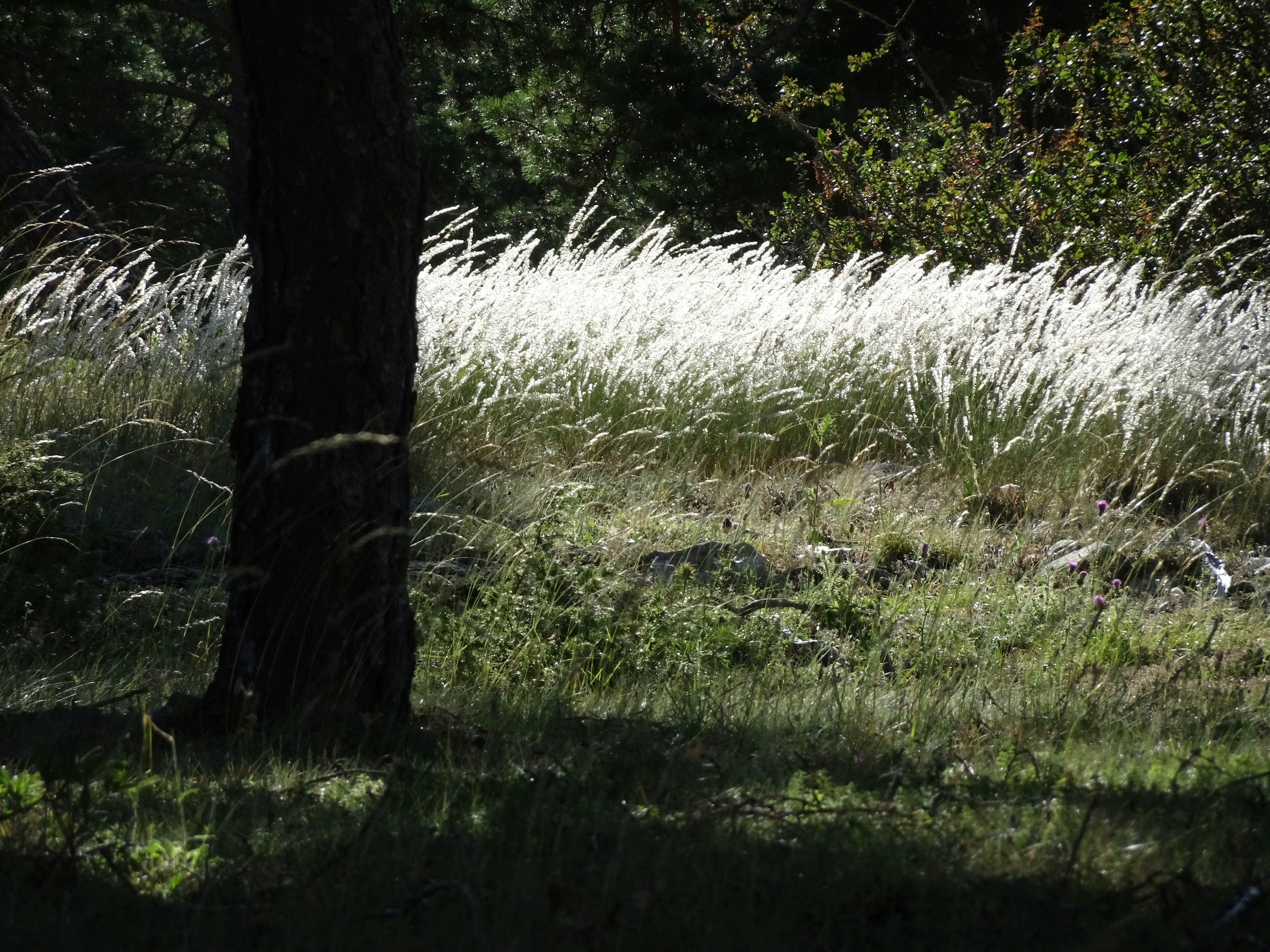 Photo by ludovico_06