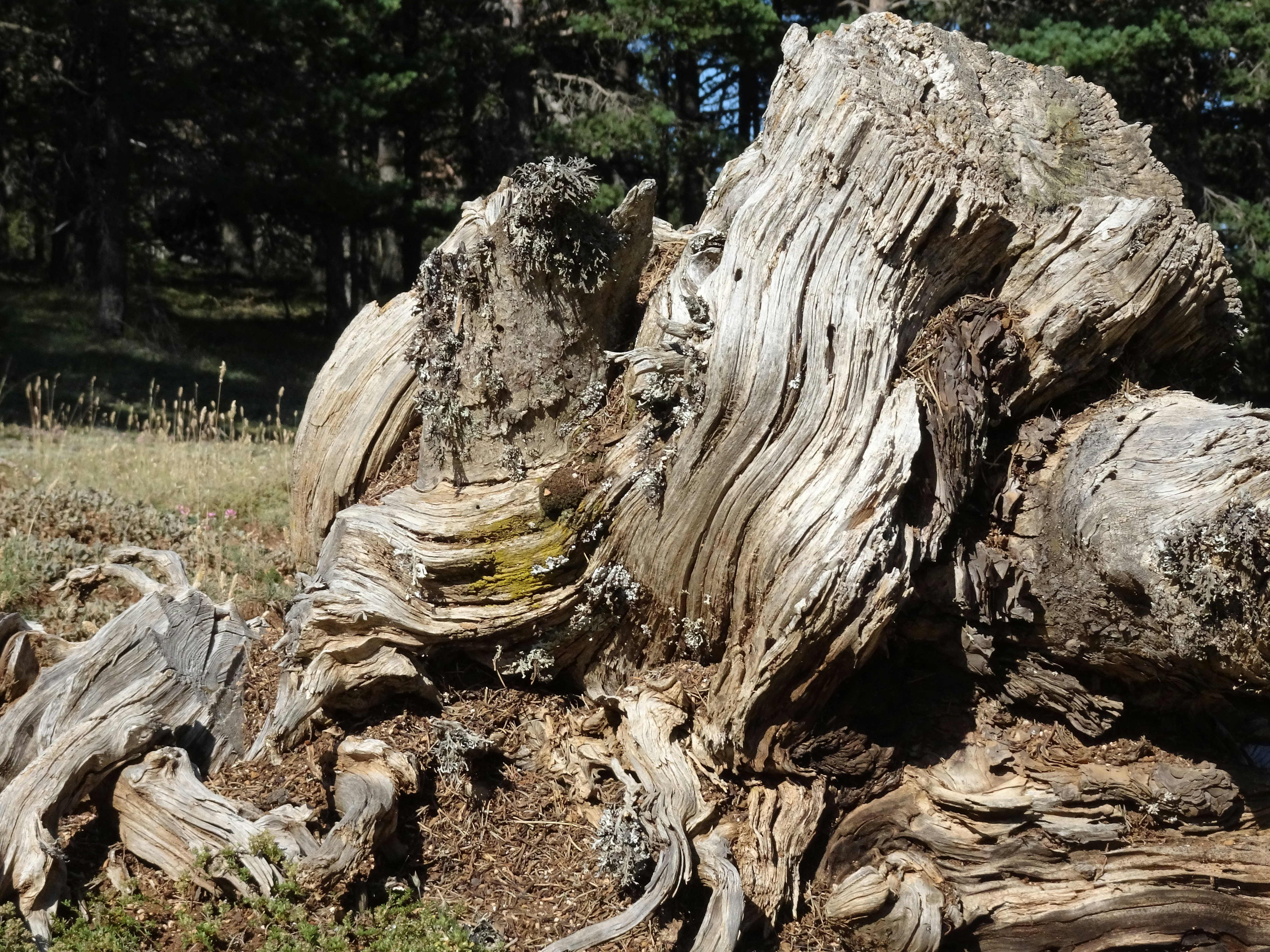 Photo by ludovico_06