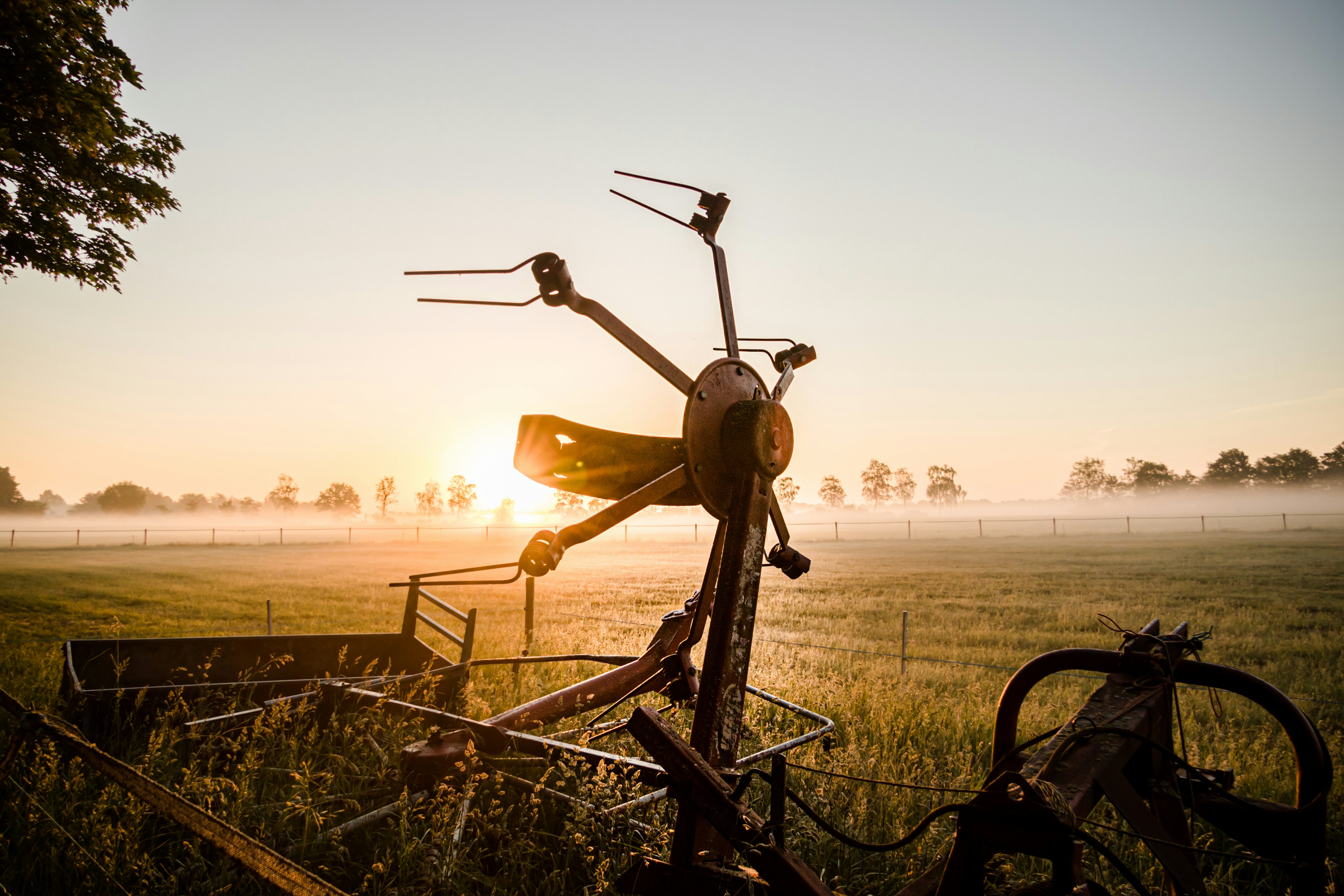 Photo by merelvanluijk_photography