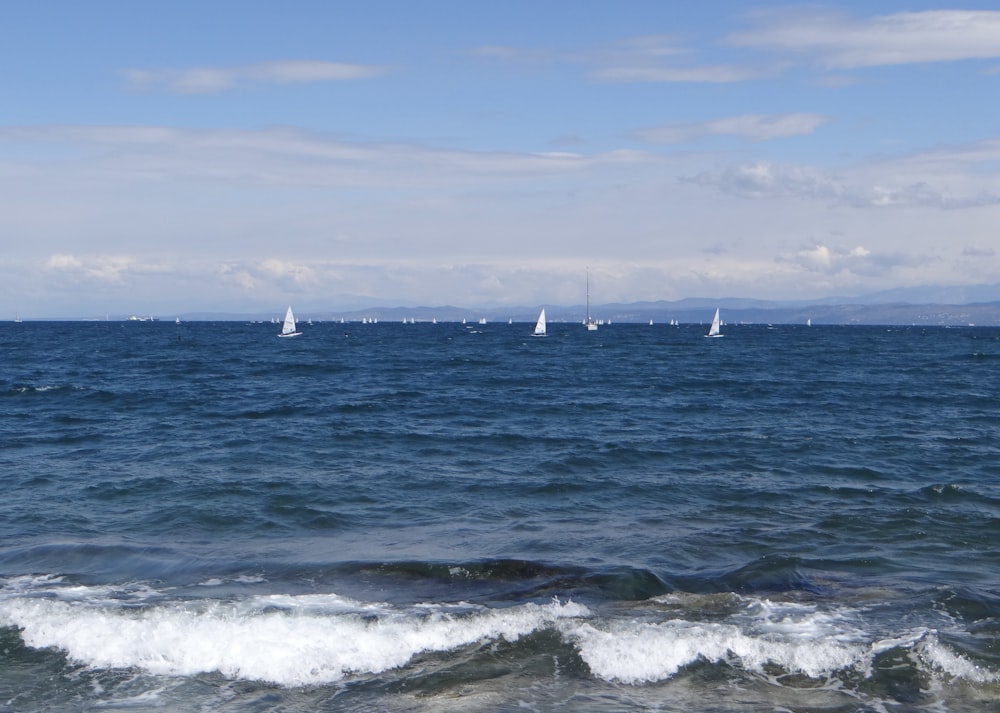 a group of sailboats sailing on a large body of water