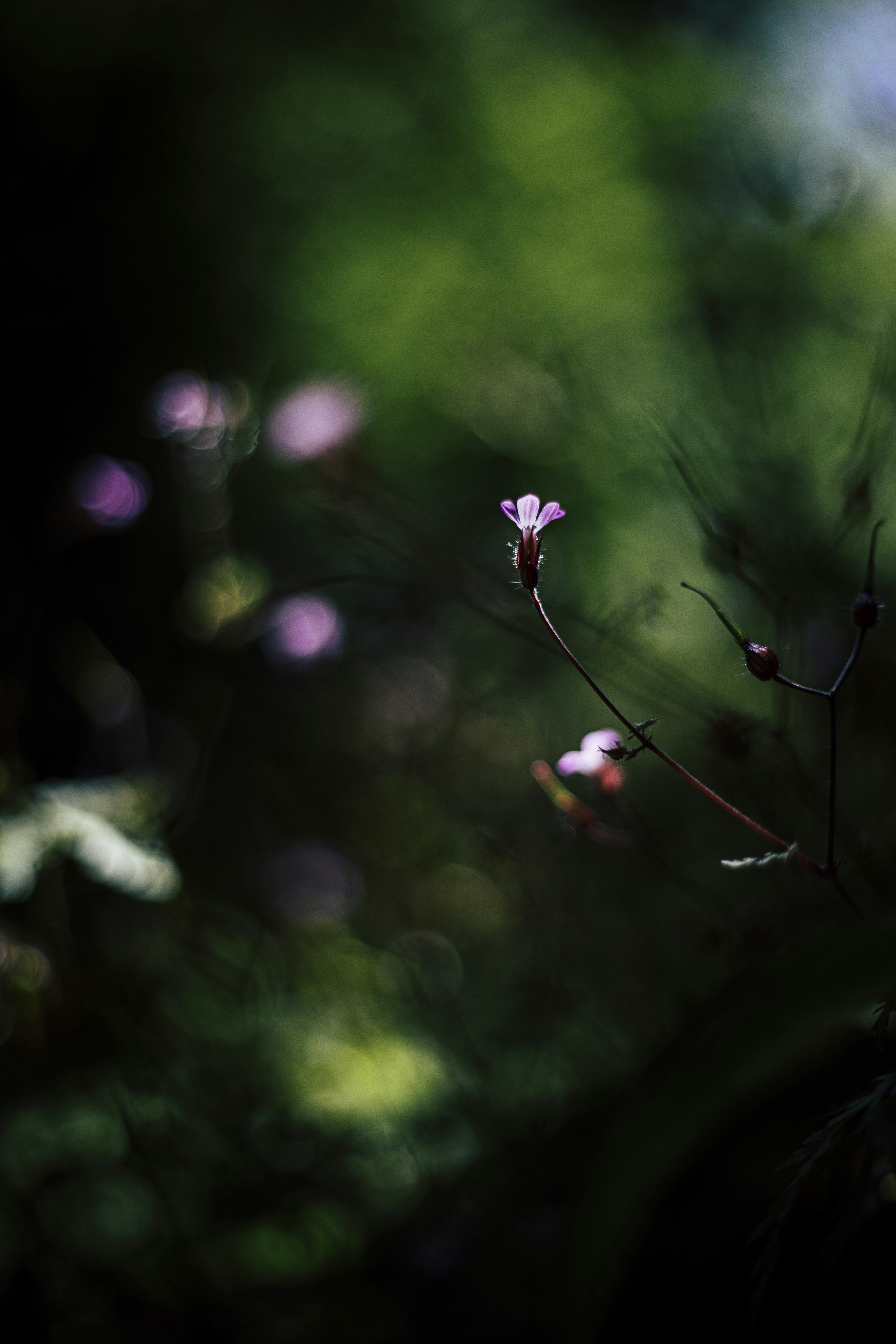 Photo by merelvanluijk_photography