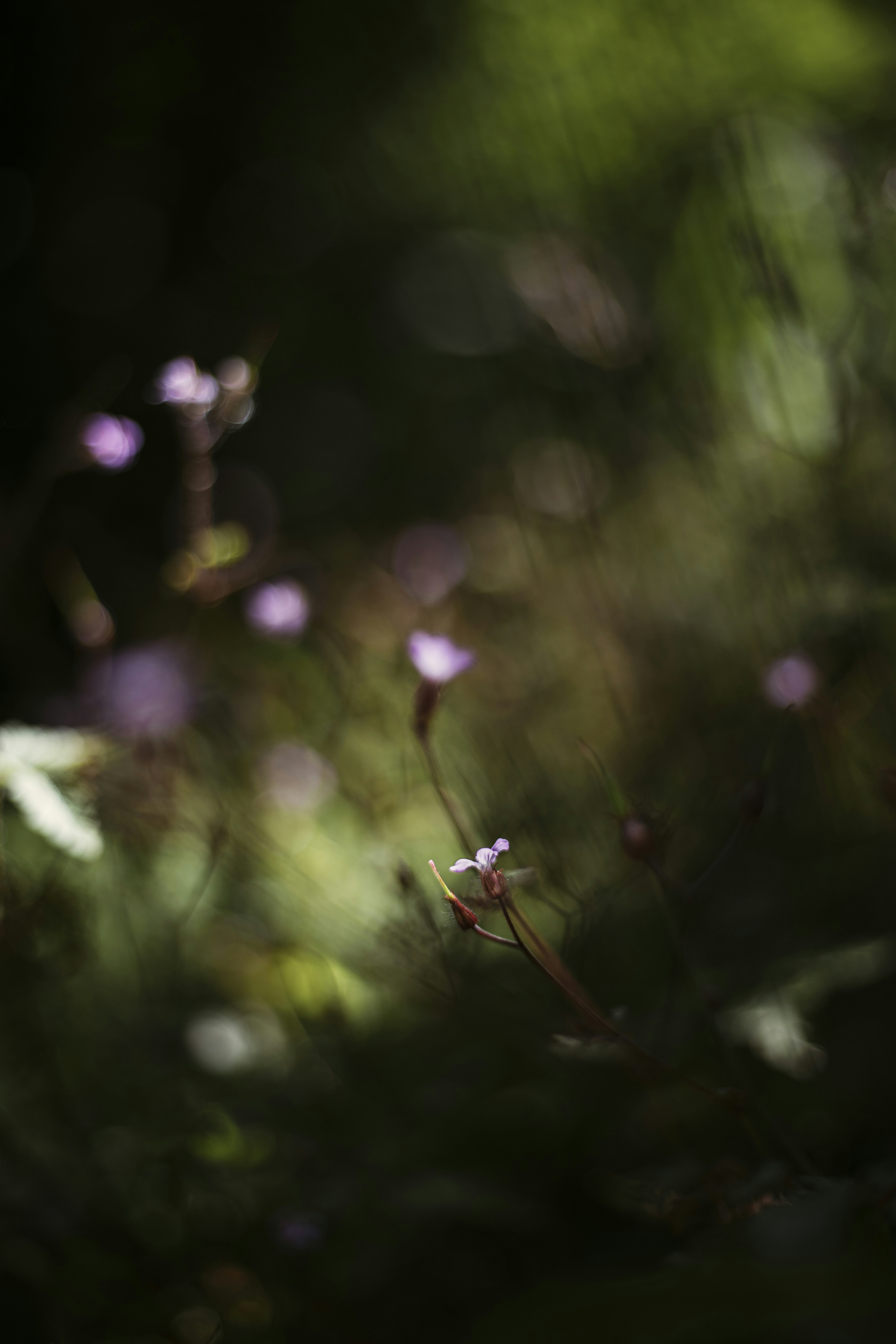 Photo by merelvanluijk_photography